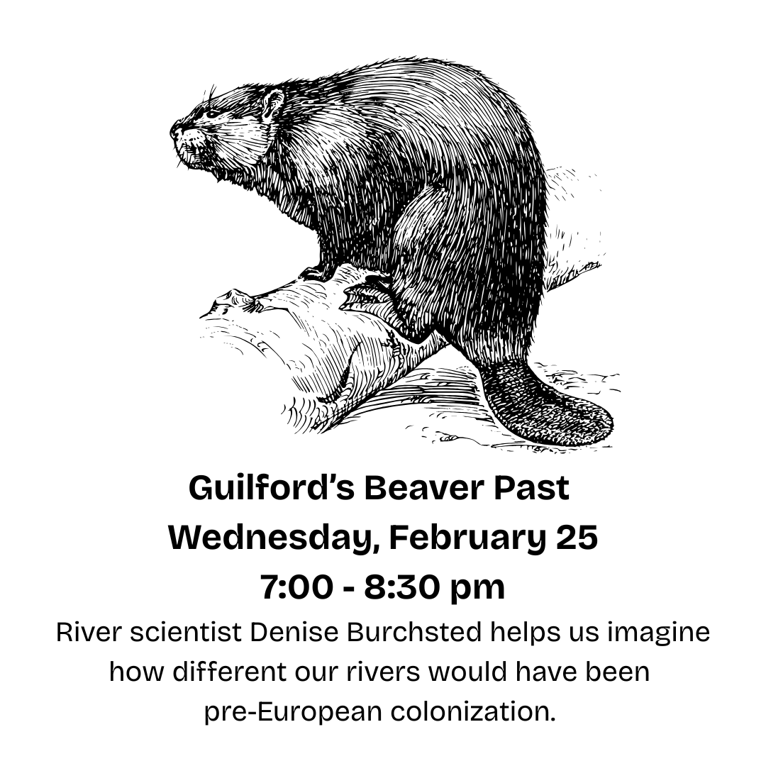 Guilford’s Beaver Past - Discussion with Denise Burchsted