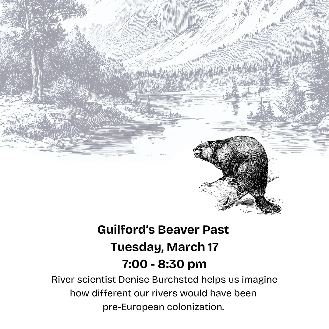 Guilford’s Beaver Past - Discussion with Denise Burchsted