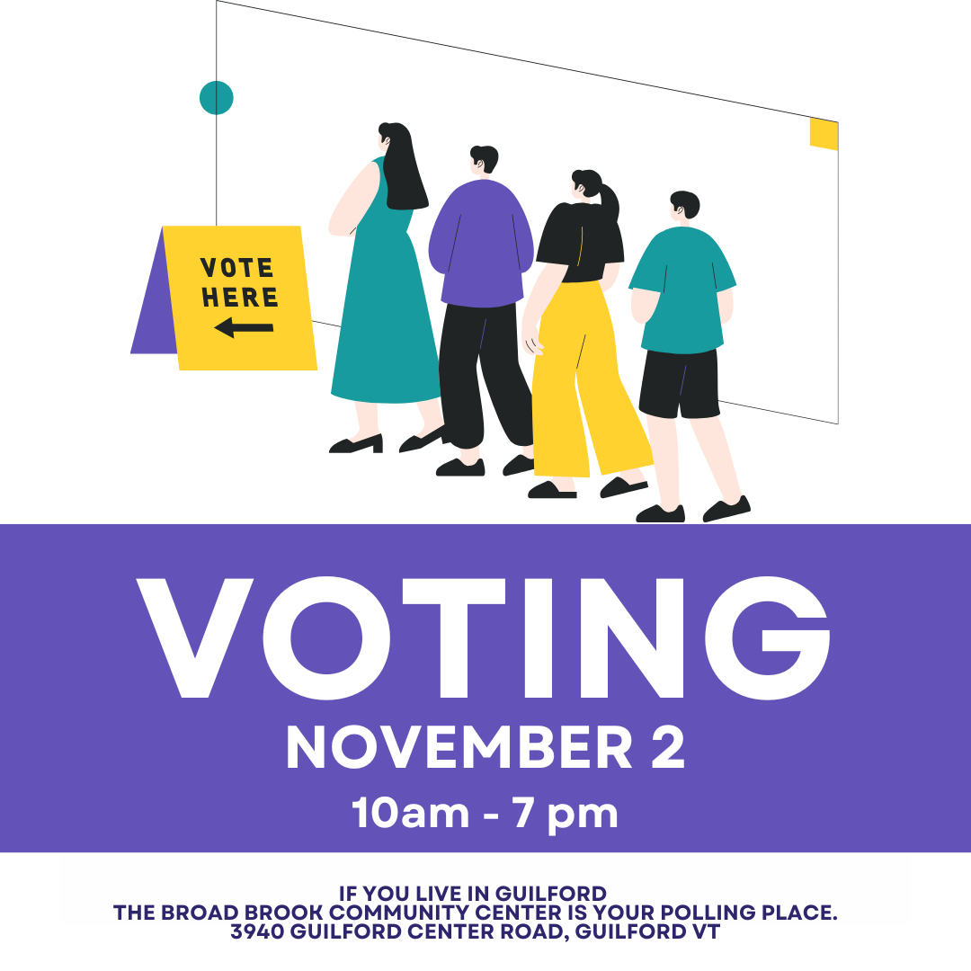 Town Voting 