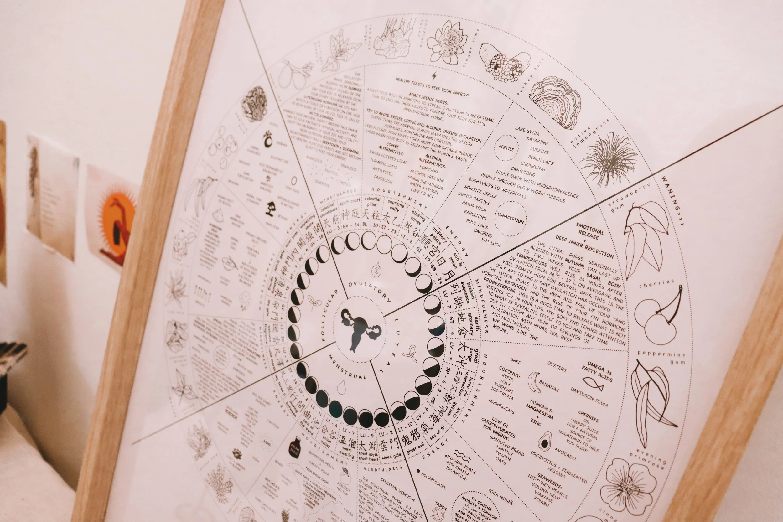 Embrace the Mythology of Your Menstrual Cycle: The Transformative Wisdom of Estrogen &amp; Progesterone