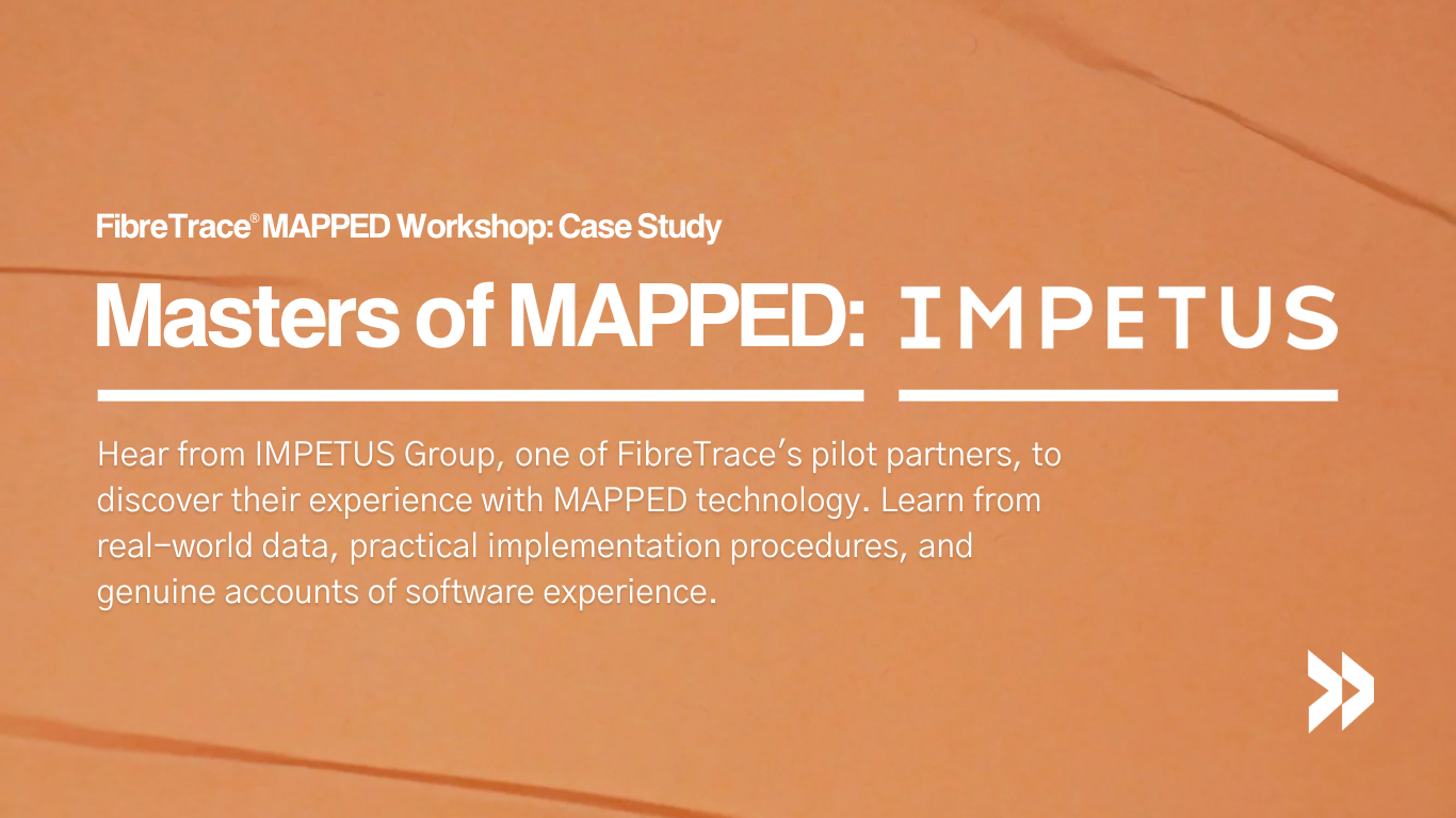 Masters of MAPPED: Impetus Group