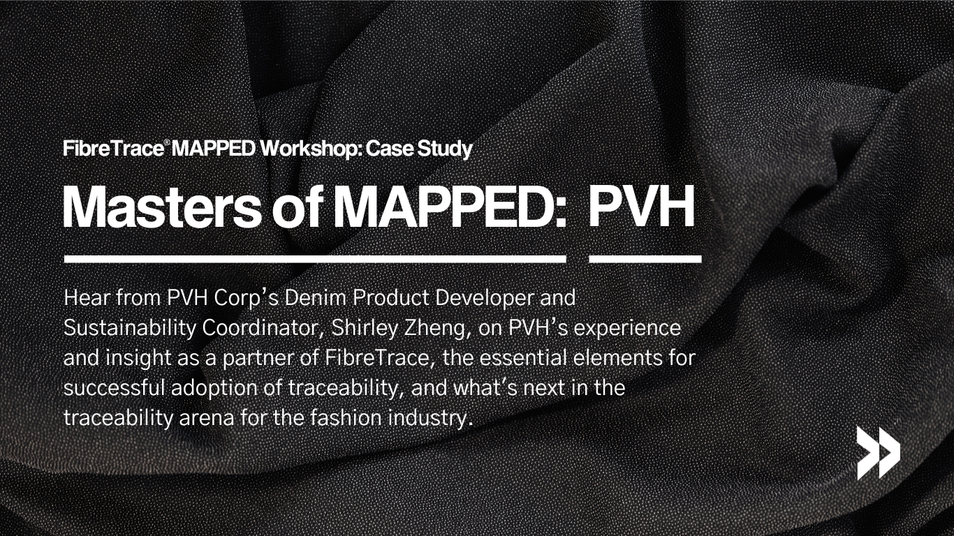 Masters of MAPPED: PVH