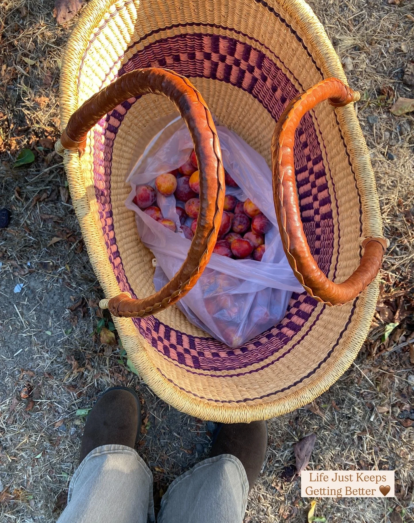 Nothing feels better than a basket full of goodies on a crisp autumn day &hellip;

#herbologyforthewildwoman #herbology #foraging  #plantmagic #motherearth #medicinewoman #nourishingthefamily #earthmagic #easyherbalism #ethicallysourced #ethicalwildc