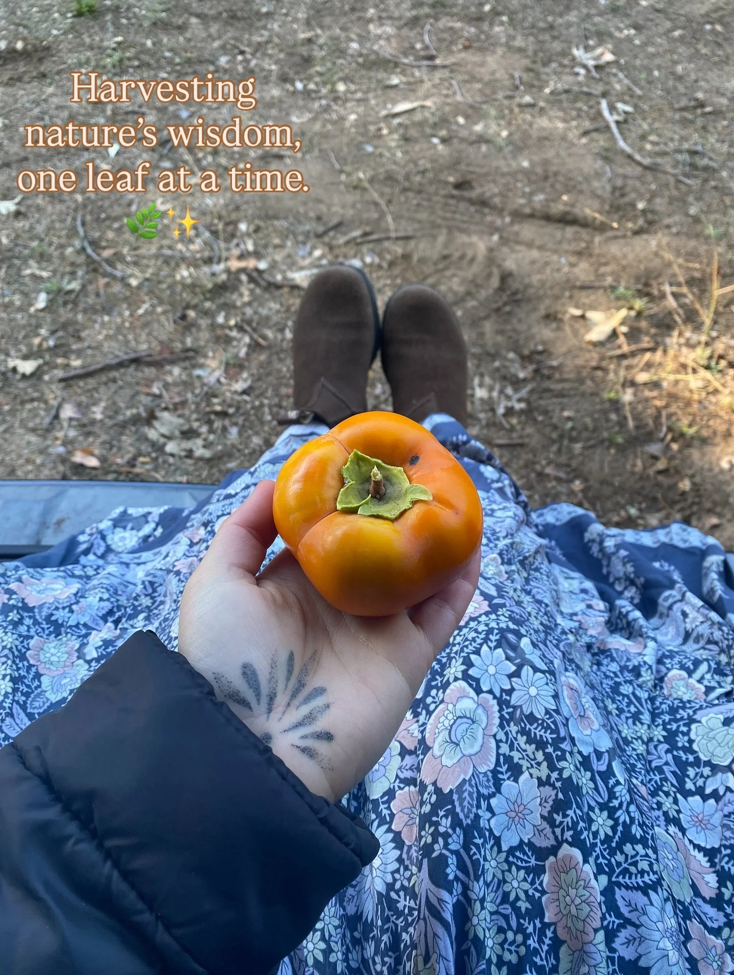 Herbology For The Wild Woman is only a month and a half away from being open for enrollment ! 

Recently, my computer broke, and I am trying to see if I can get it fixed or if I have to buy a brand new one. It&rsquo;s been a little bit of a hassle, b