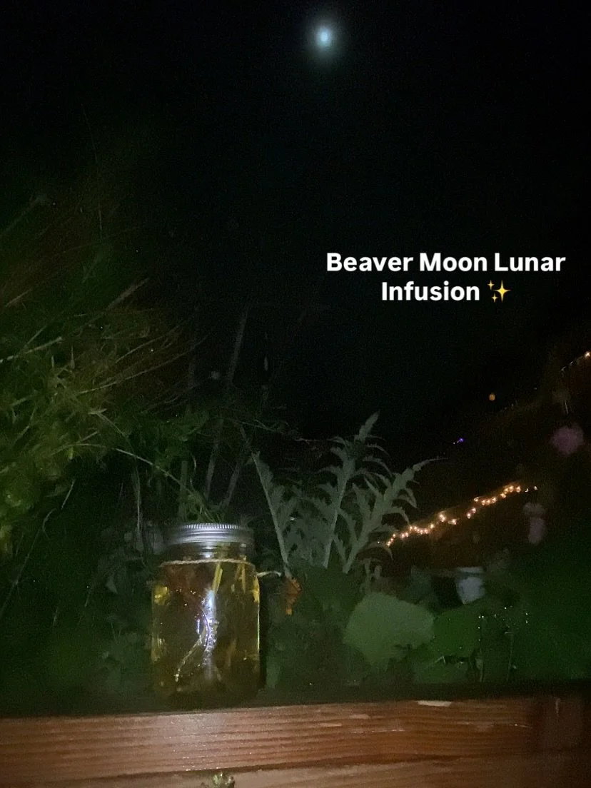A simple yet effective and alluring way to capture this magical moon energy tonight 🌿🌕🍵✨
#supermoon #beavermoon #fullmoon #novembermoon #lunarinfusion #fullmoontraditions #herbalmagic #lunarmagic #wildwomen #witchy #dreamatorium #autumnmagic #self