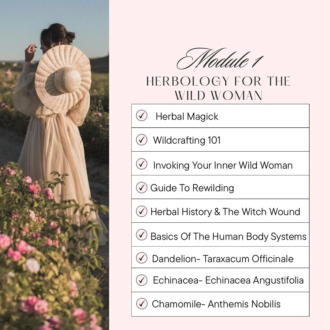 🌿✨ Unlock Your Inner Wild Woman! ✨🌿

I&rsquo;m thrilled to announce that enrollment for my online course, **Herbology For The Wild Woman**, opens this December! 🎉 

Join me on a transformative journey of rewilding, embracing herbal medicine, and h