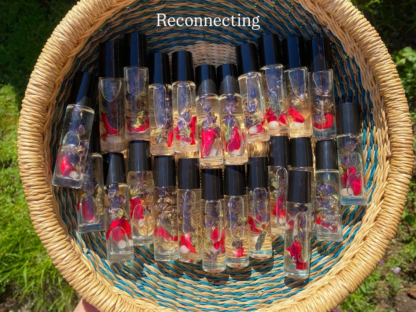 🌿 **Reconnecting with Nature: A Journey Back to Ourselves** 🌿

In a world that often moves too fast, rewilding is our natural instinct. Every time I step into nature, I discover invaluable lessons&mdash;like the art of slowing down and truly listen