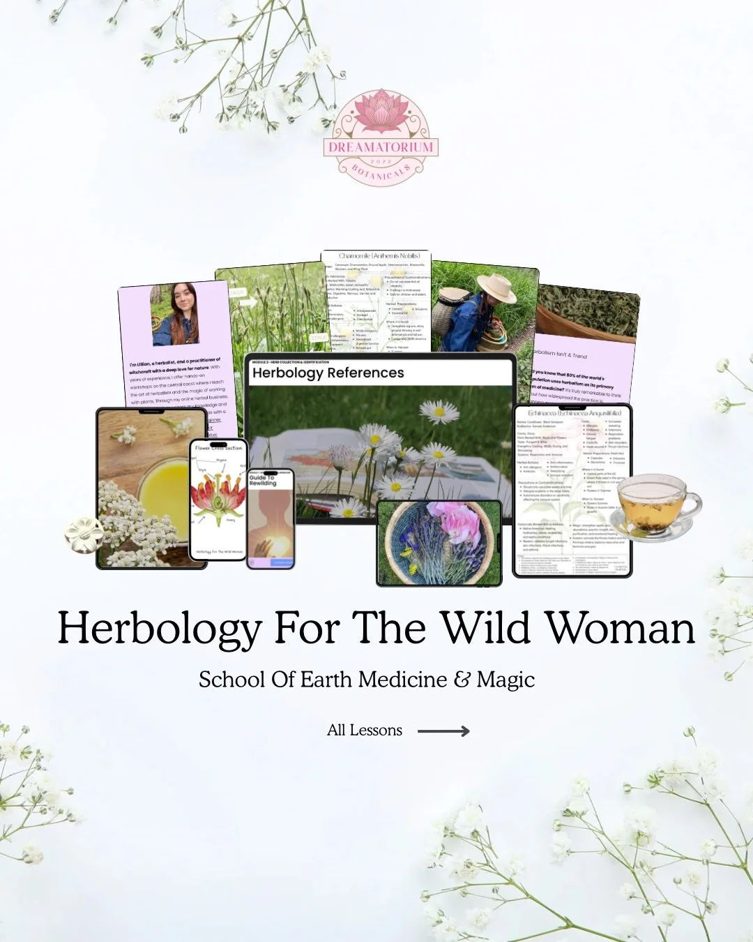 🌿✨ Herbology For The Wild Women is open for enrollment! 🌸🌼

Are you ready to embark on a journey of transformation, reconnection, and alignment with the beauty of nature? This course is designed just for you! Dive deep into the world of herbology 