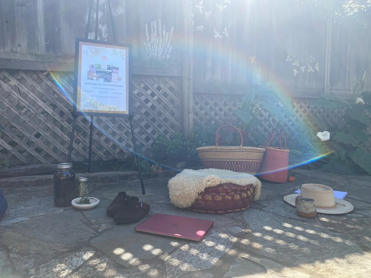 Today women gathered in a sanctuary underneath the trees to talk about Urtica dioica. Known by her common name Stinging Nettle. As spring emerges, we can start to see long stocks grow with teethed leaves, and little hairs. If we&rsquo;re not intentio