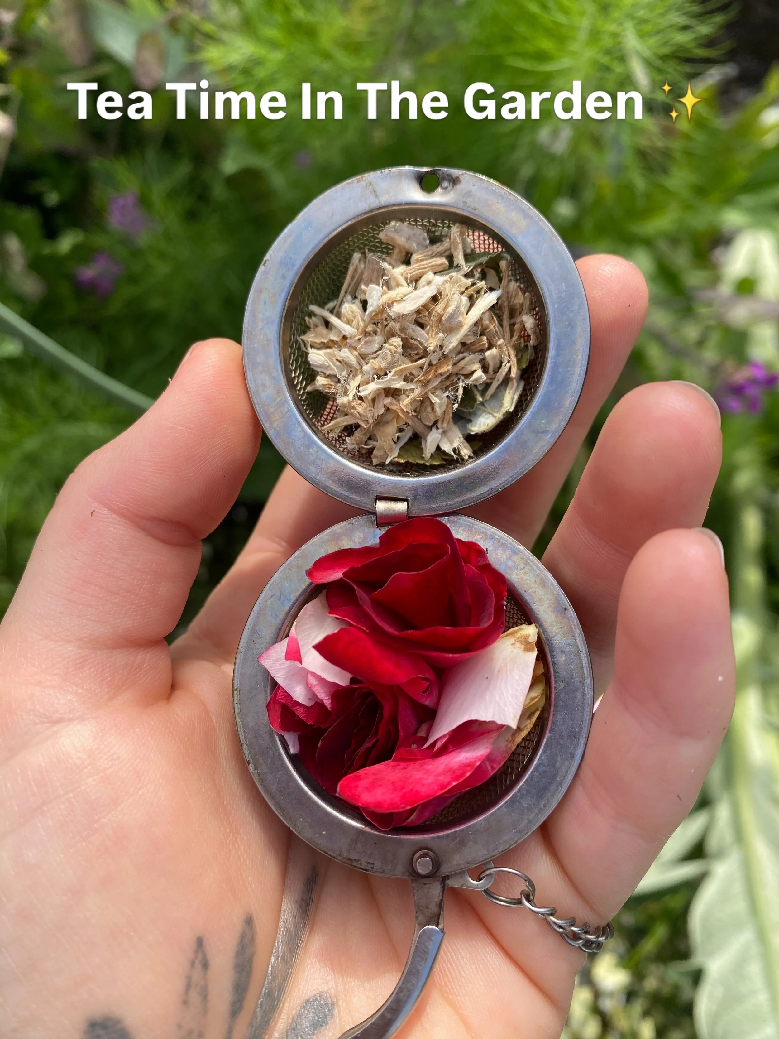 I have been working on creating a workbook guide for women&rsquo;s menstrual cycles. We&rsquo;ll  take a dive into herbs that have been used for women helping with cramps, bloating, all while nourishing the body 🌹

I&rsquo;ll be sharing my recipes f