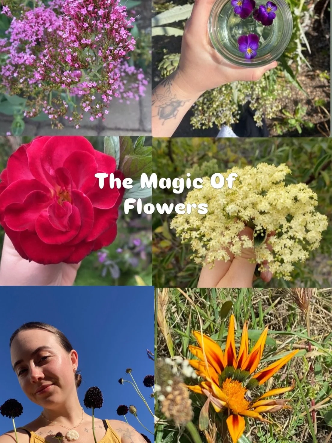 There is a magic that resides in each flower. It has the beauty to capture so many hearts. No matter the hike I go on. I always seem to find the flowers. (And of course I take pictures for you guys too 😝) 

It is such an empowering moment when you c