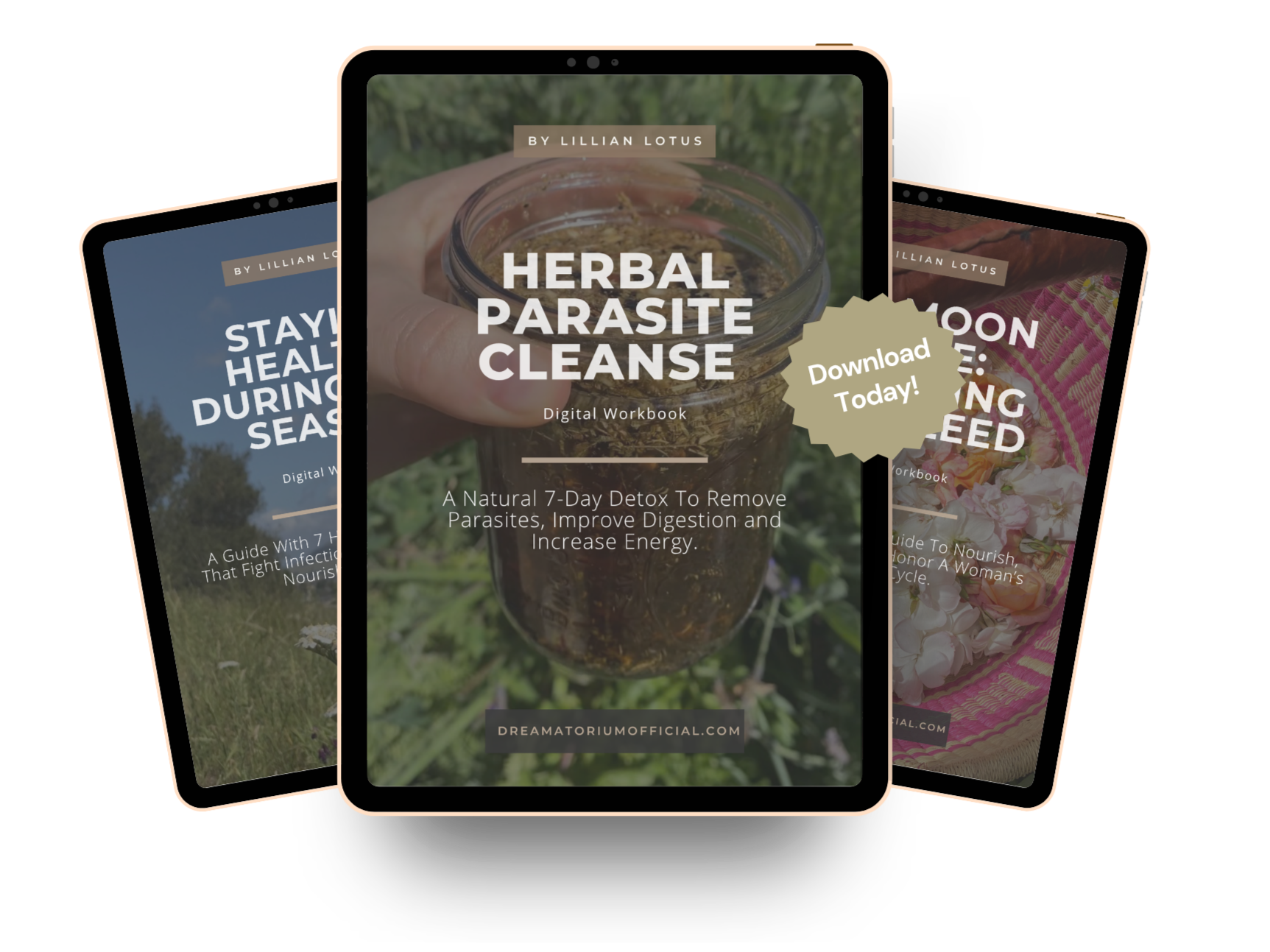 Three digital workbooks displayed on tablet screens. The central one titled 'Herbal Parasite Cleanse' by Lillian Lotus features a hand holding a jar of herbal infusion, with a background of greenery. The other two workbooks, partially visible, focus on maintaining health during the season and nourishing the body, with nature-themed and floral designs.