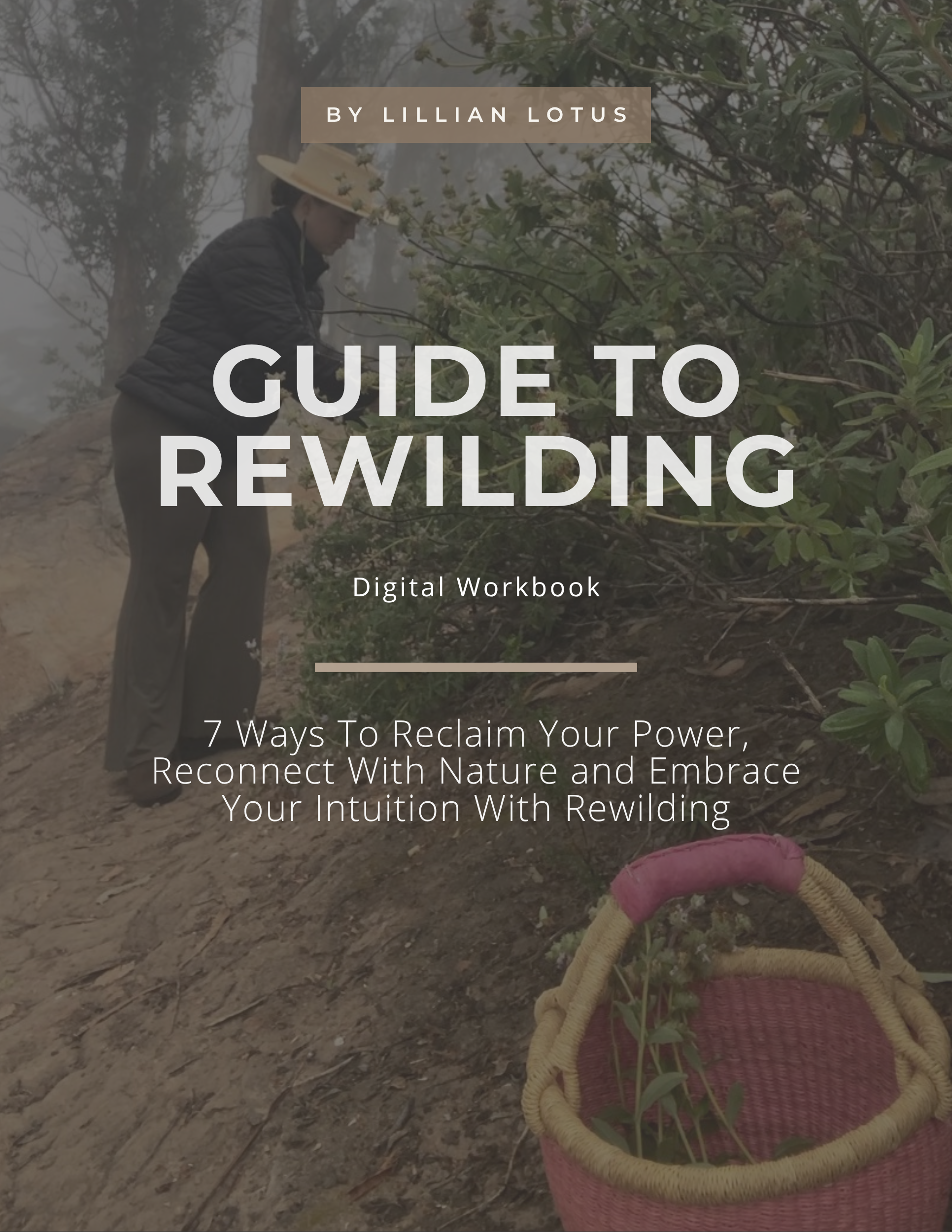 Guide To Rewilding