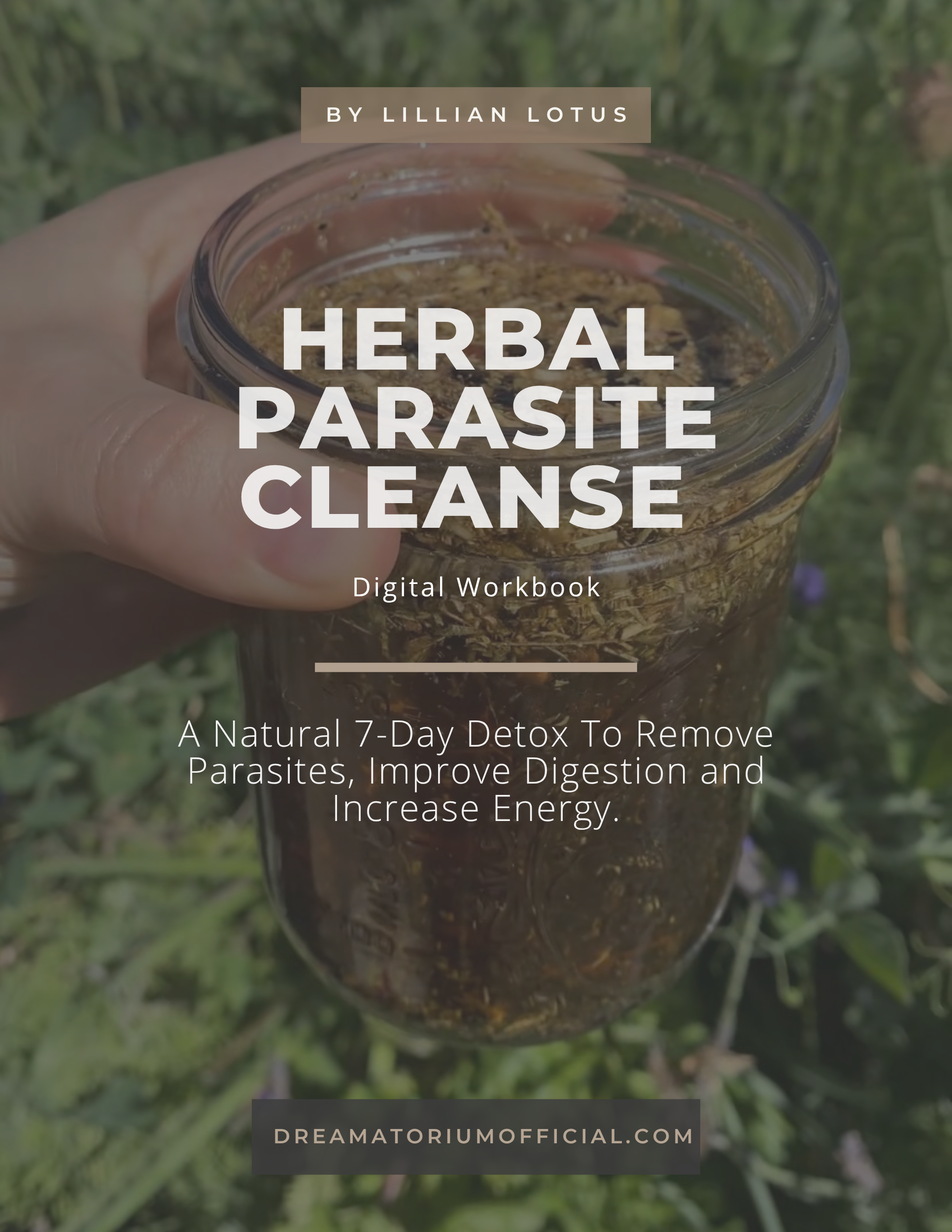 Parasite Cleanse Guide