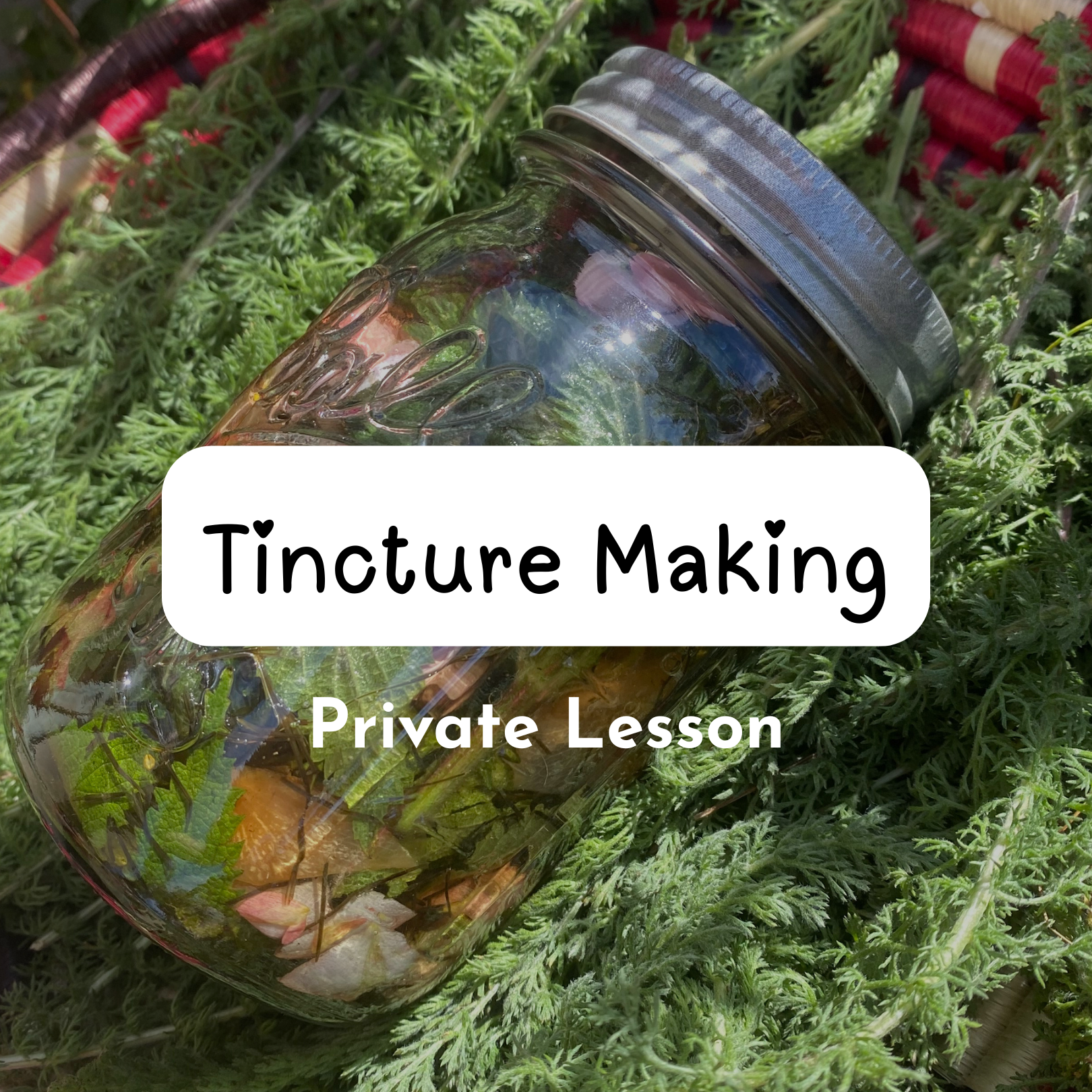 Tincture Making-Private Lesson