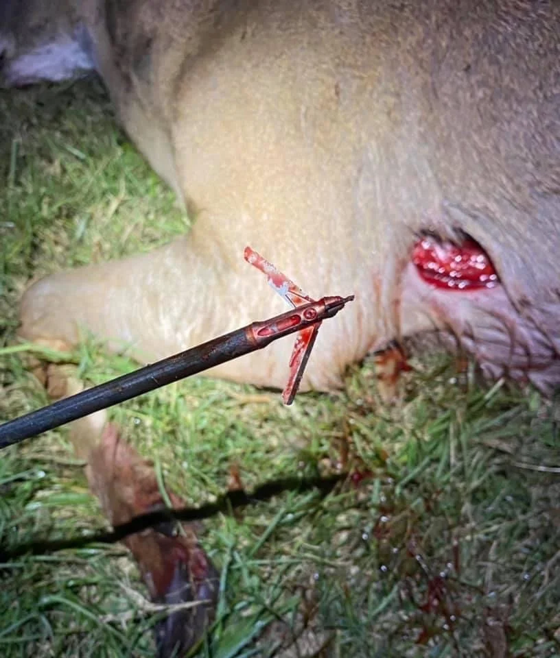 Photos — Trifecta Broadheads