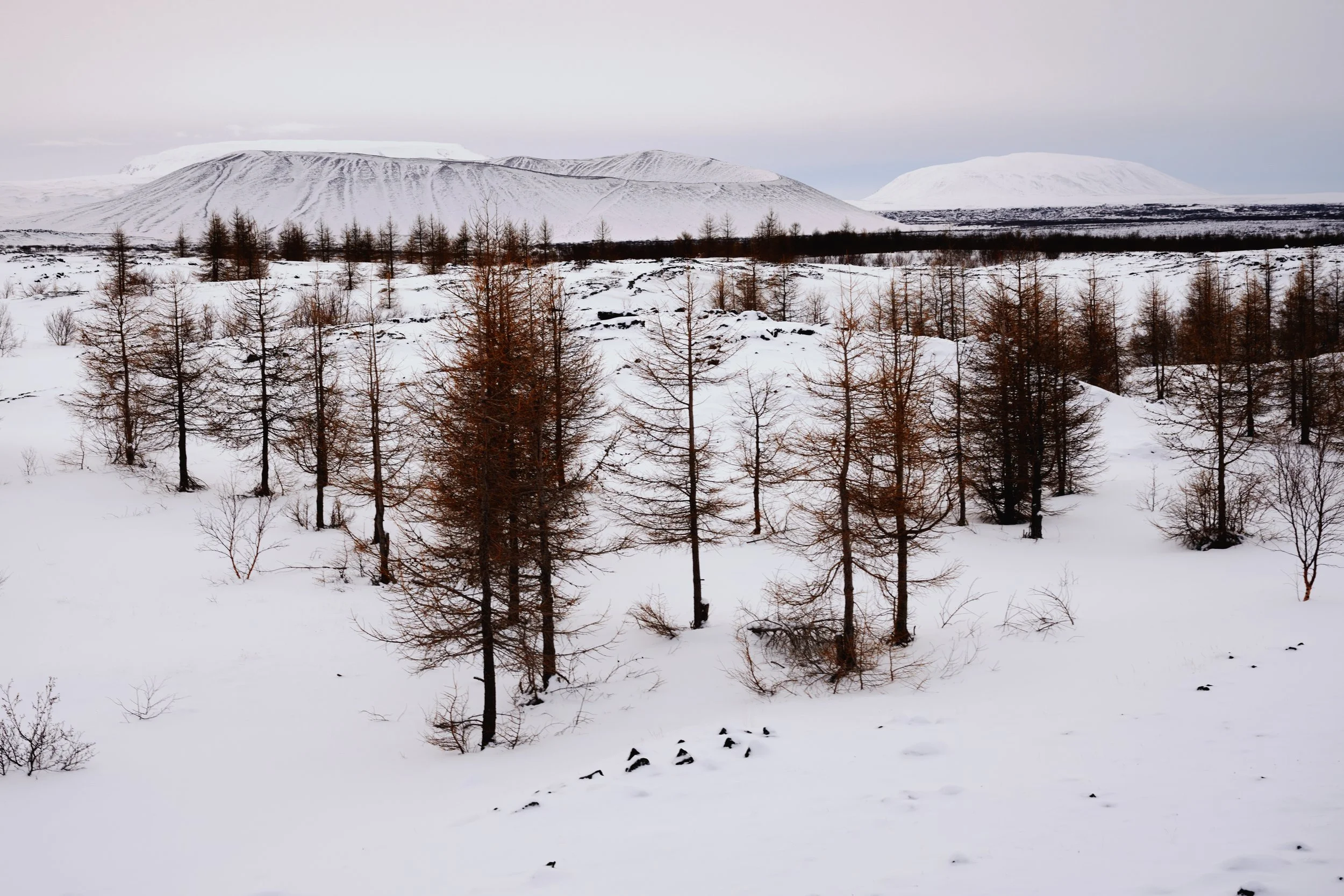 Trips by Strætó — Iceland By Strætó