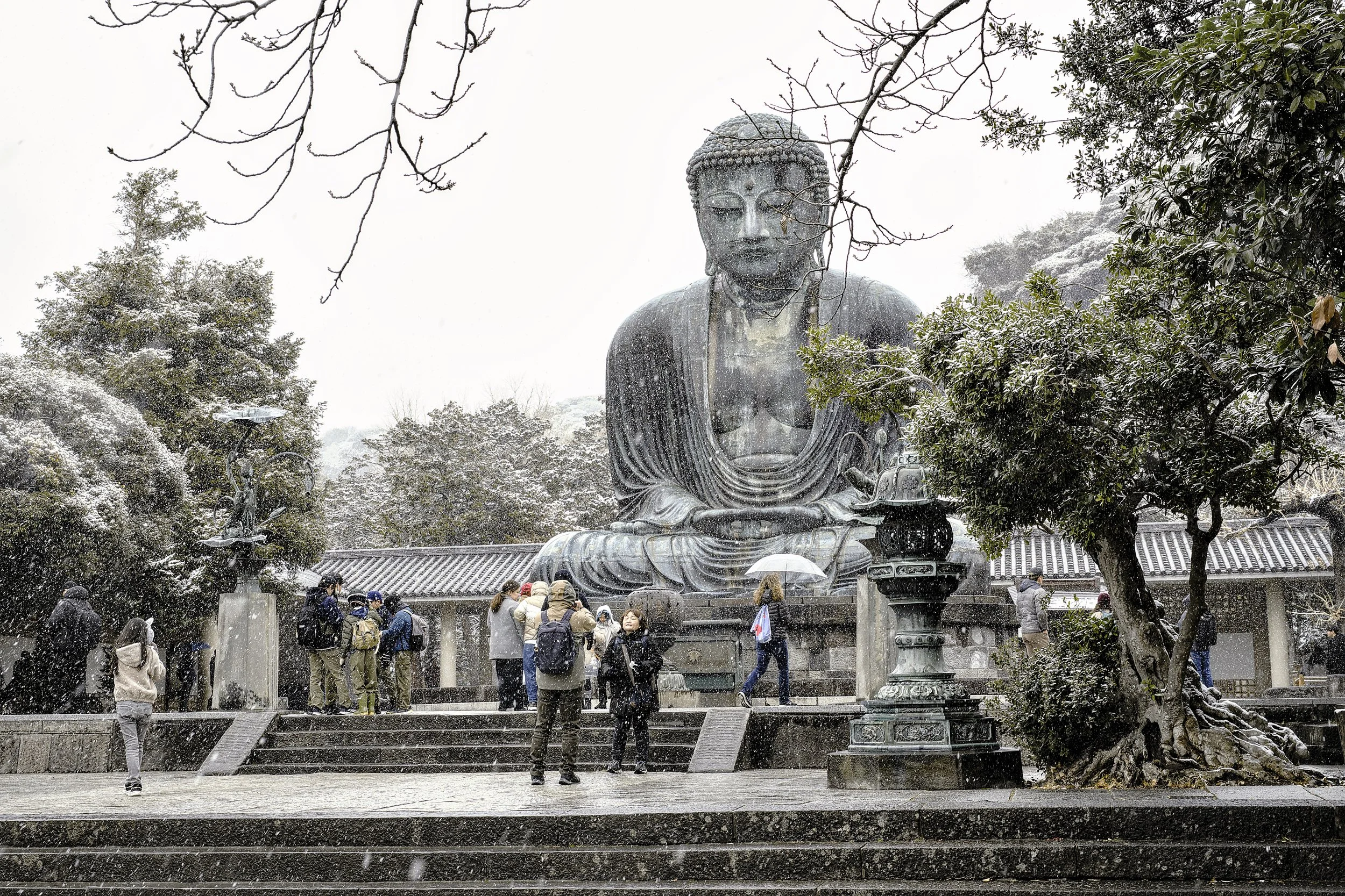 Seated Amida Nyorai bronze statue (Kamakura Daibutsu), designated a National Treasure / Approx. 11.3 meters tall, weighs about 121 tons / The only National Treasure Buddha statue in Kamakura / Remnants of the former Great Buddha Hall foundation can b