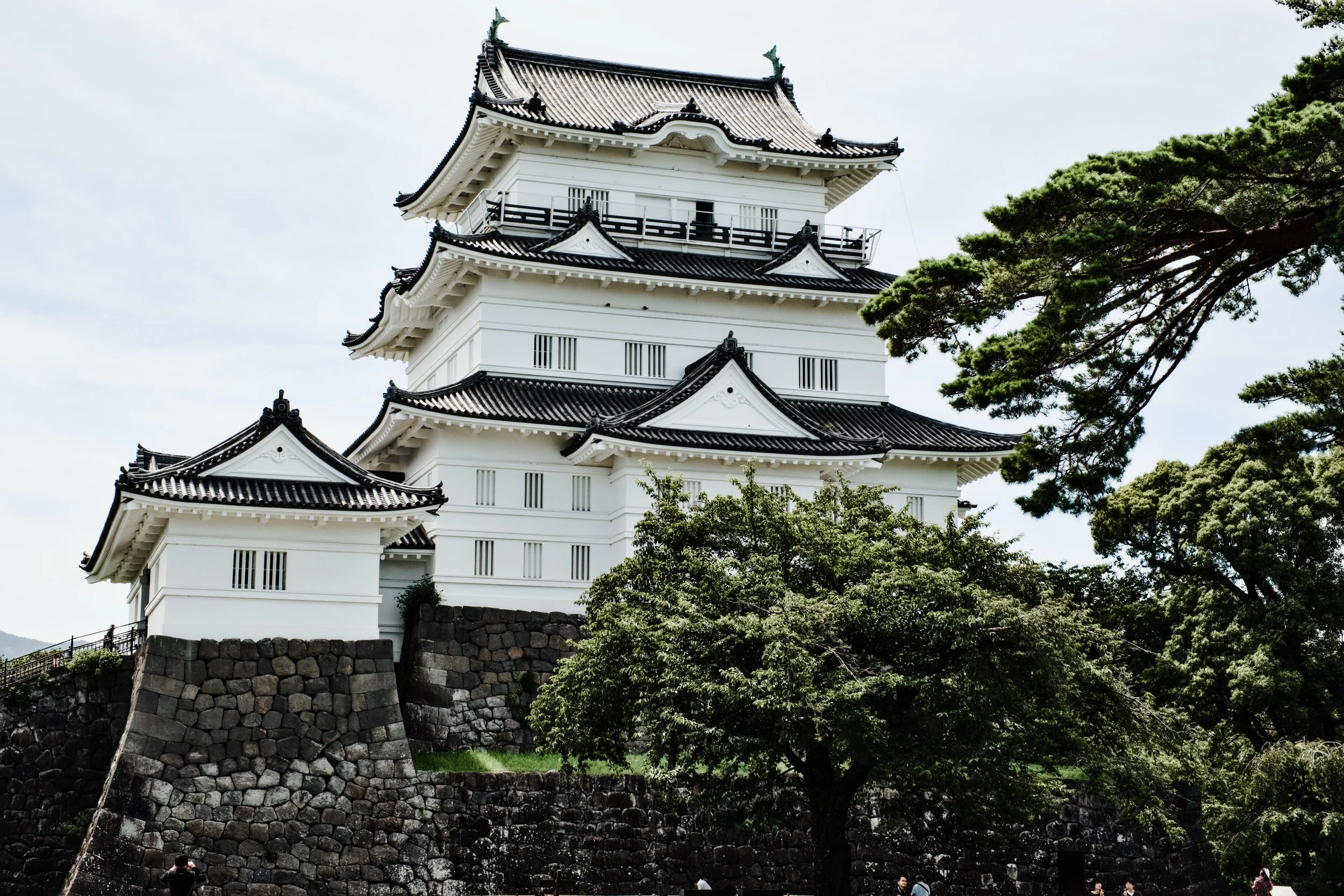 Odawara Castle Summer 2025