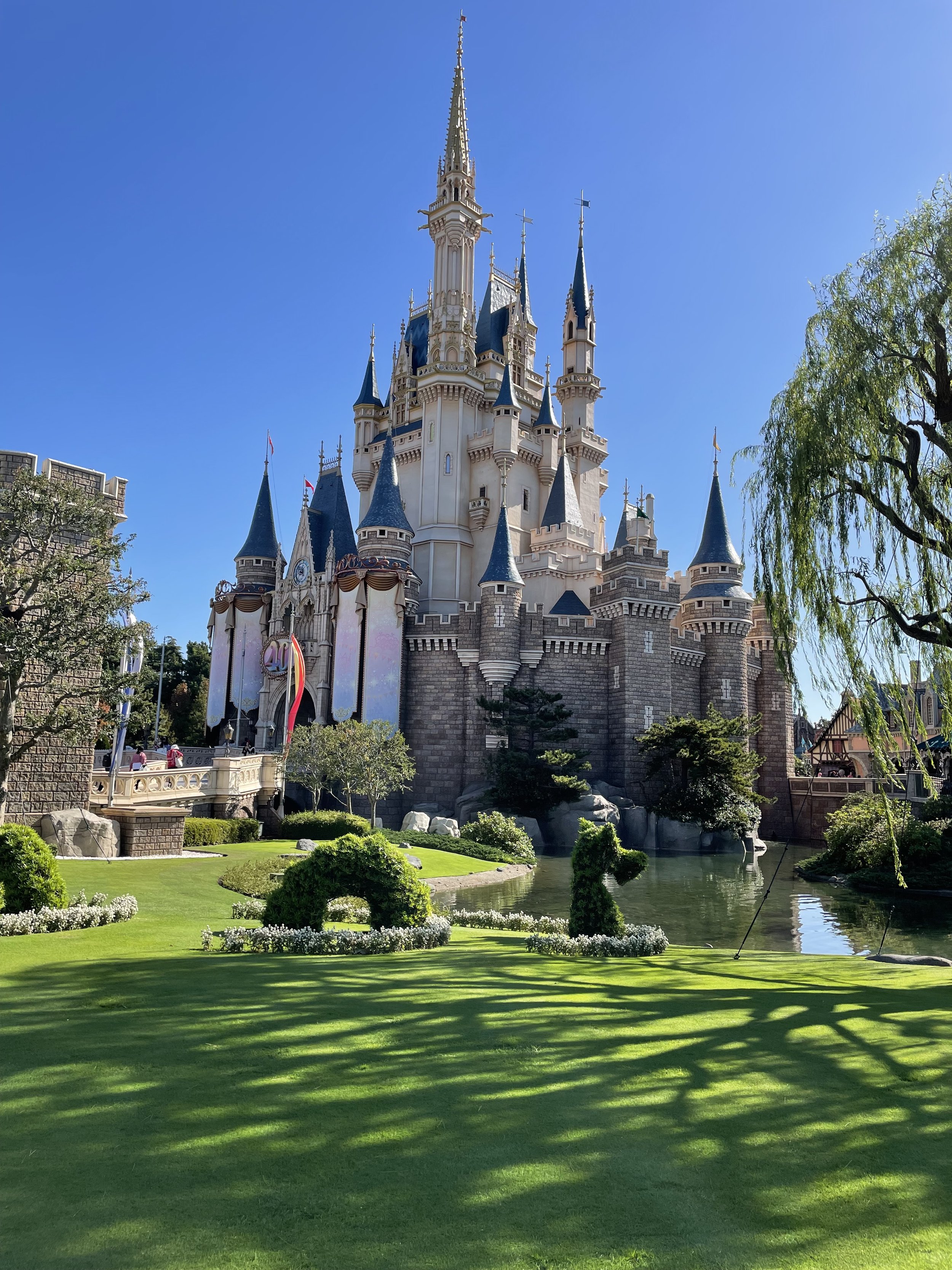 Magic Kingdom Nov 8th / Opening Of Christmas Season