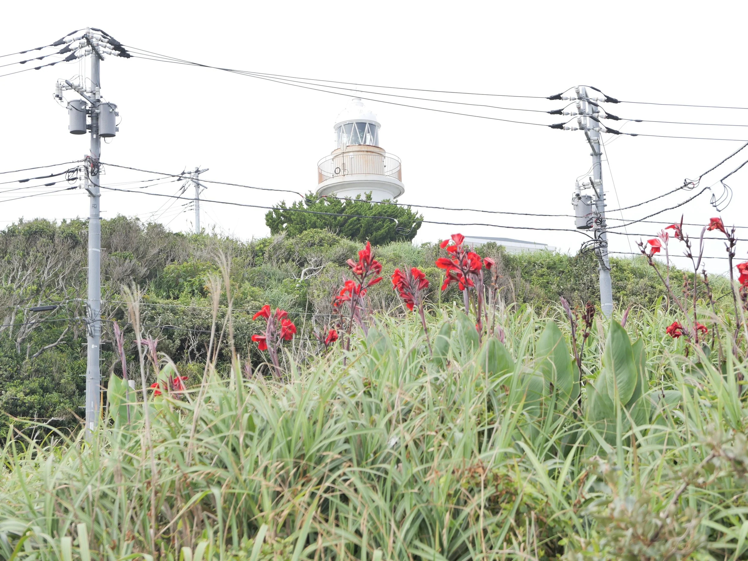 Jogashima Lighthouse