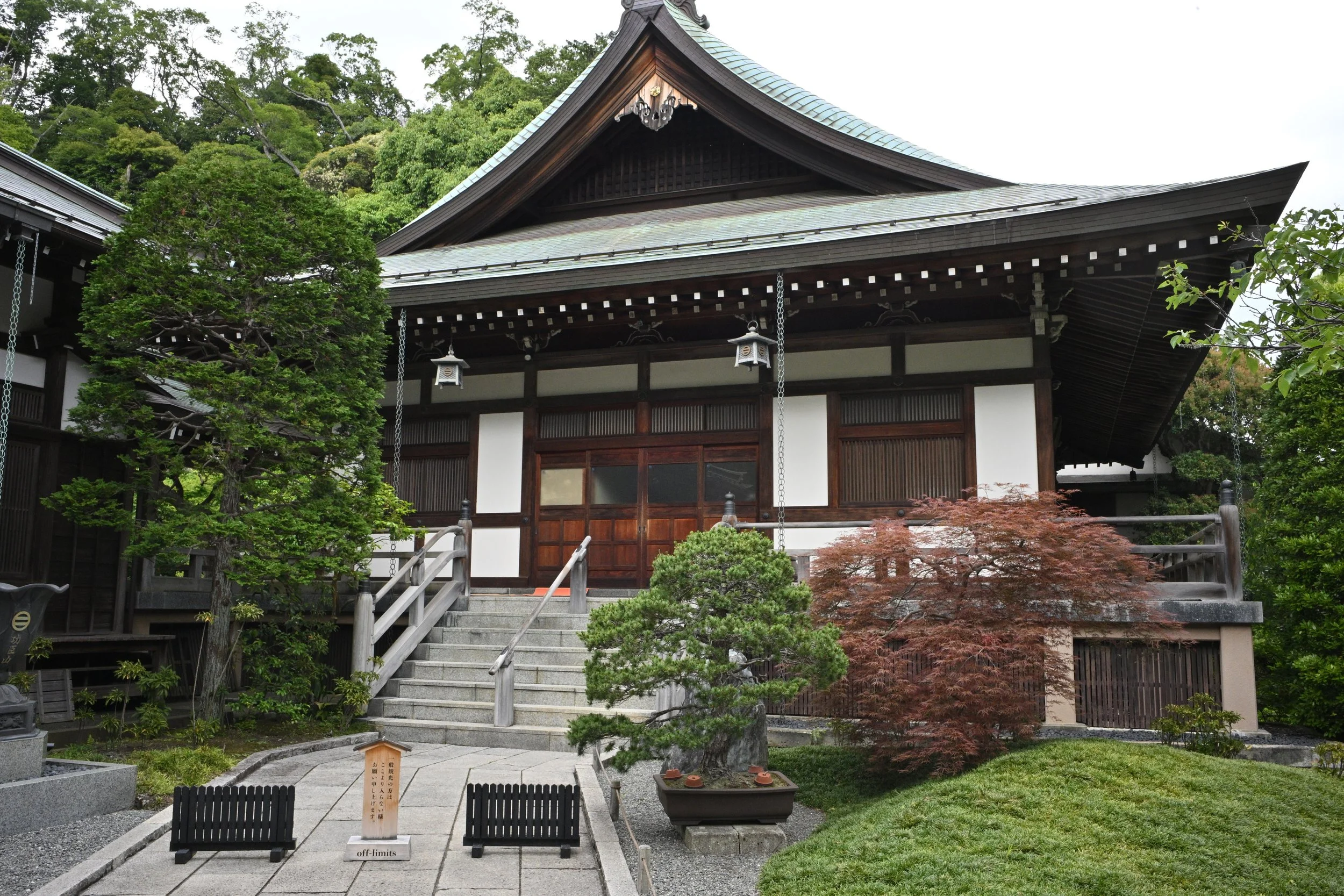 Hokoku-ji Temple: The Bamboo Temple.  The 1923 Great Kantō earthquake destroyed most of the temple structures including the original straw roof on the main hall. A similar roof is maintained on the bell tower today.