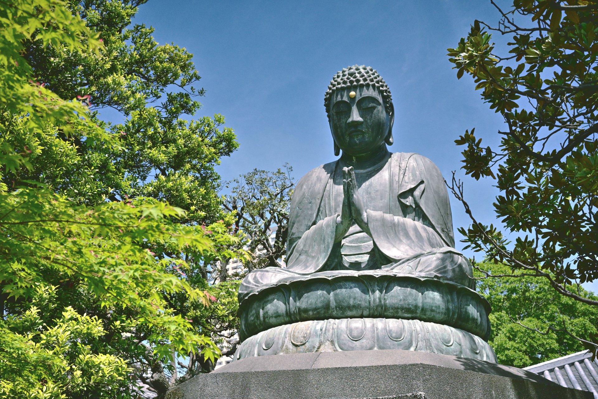 The "Pray For World Peace Buddha":  Tenno-ji Temple