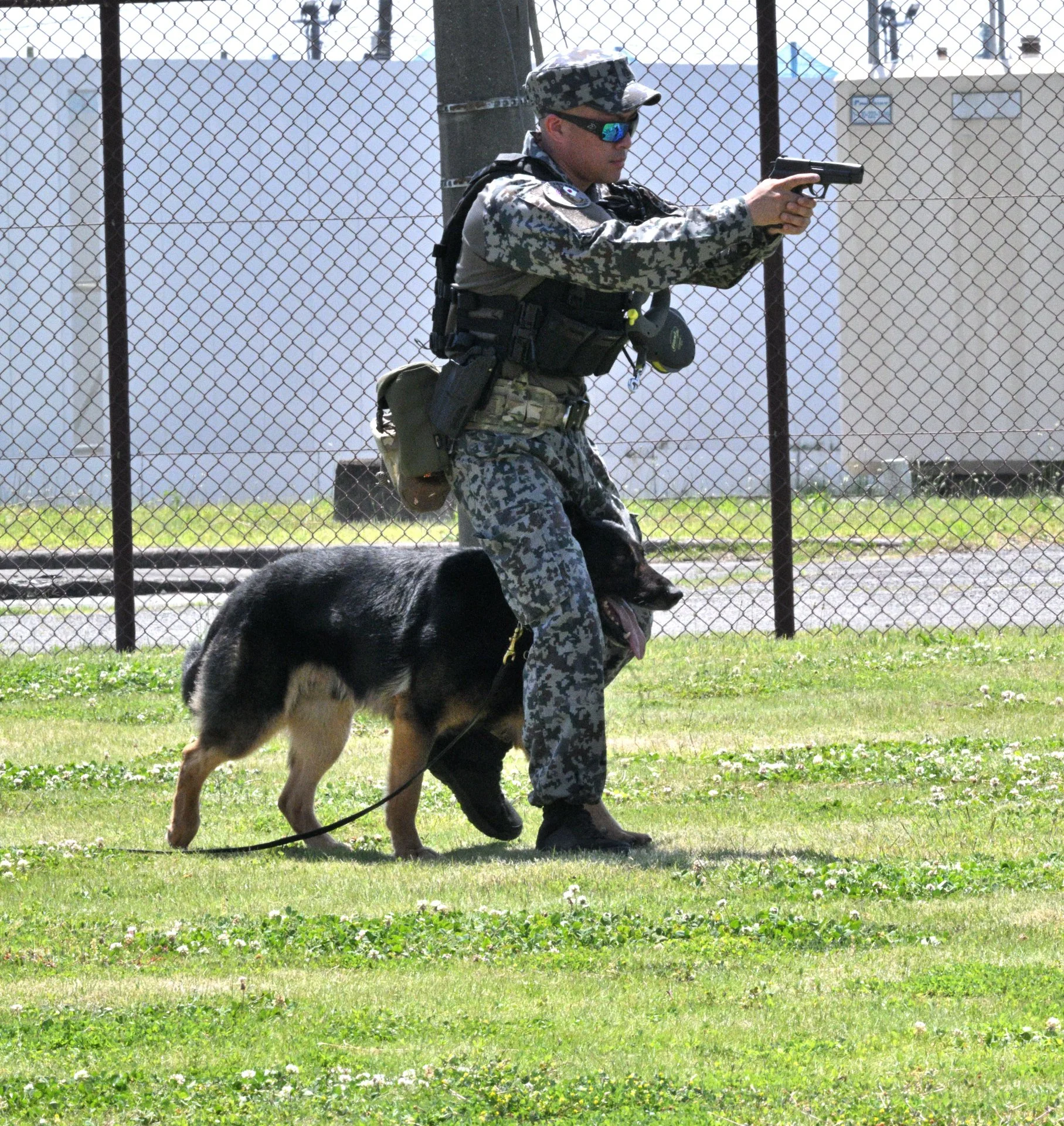 K9 Demo.   What... "No Dachshunds"?