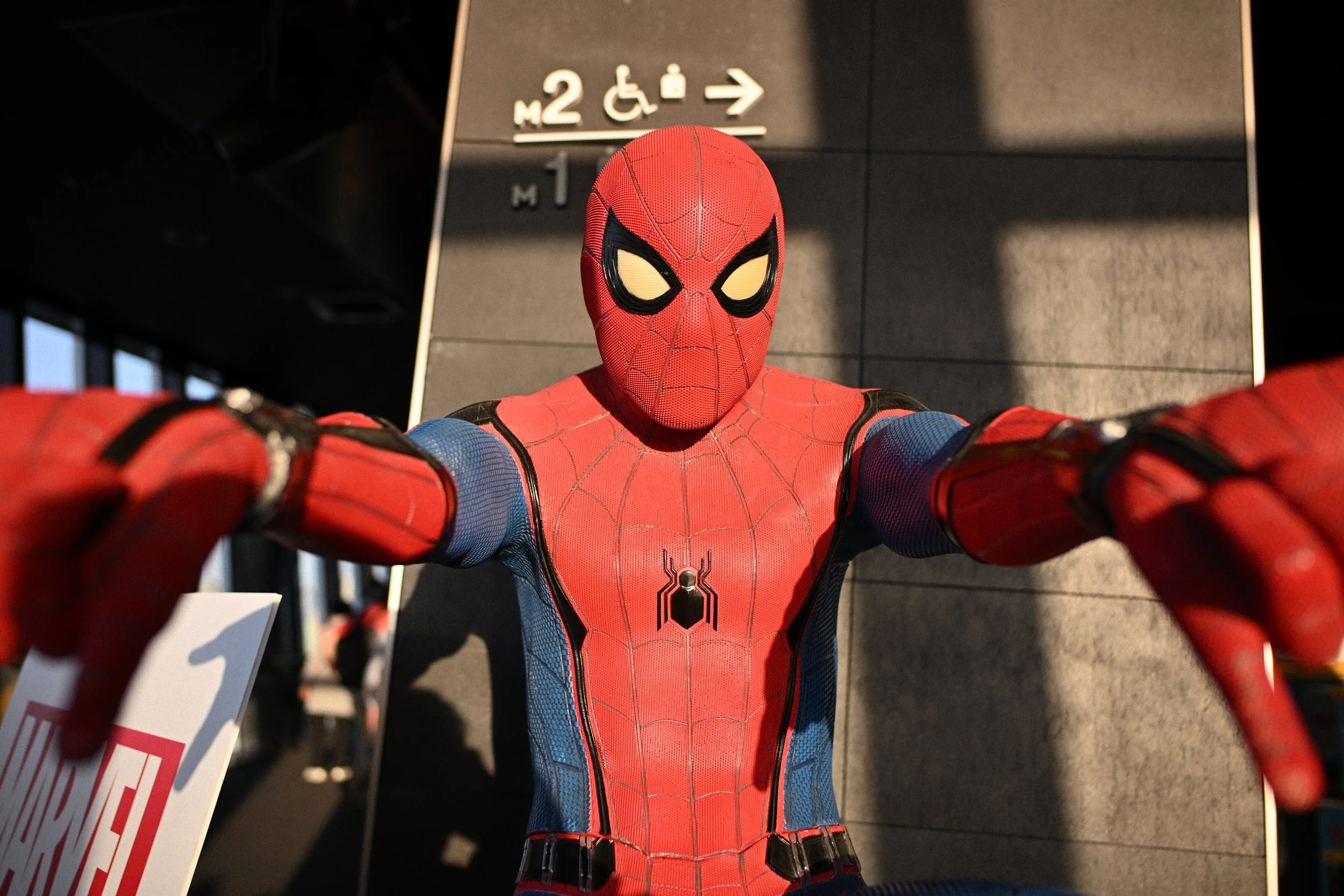 Ahhhh yes!  Friendly neighborhood Spiderman!