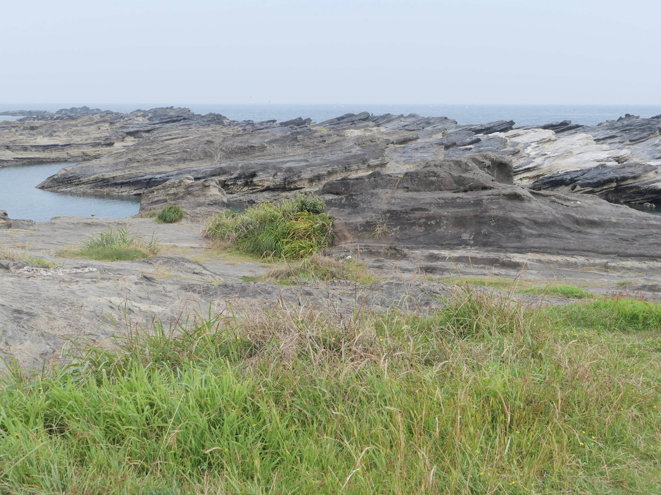 Walking around Tenjin-shima Marine Biological Garden.