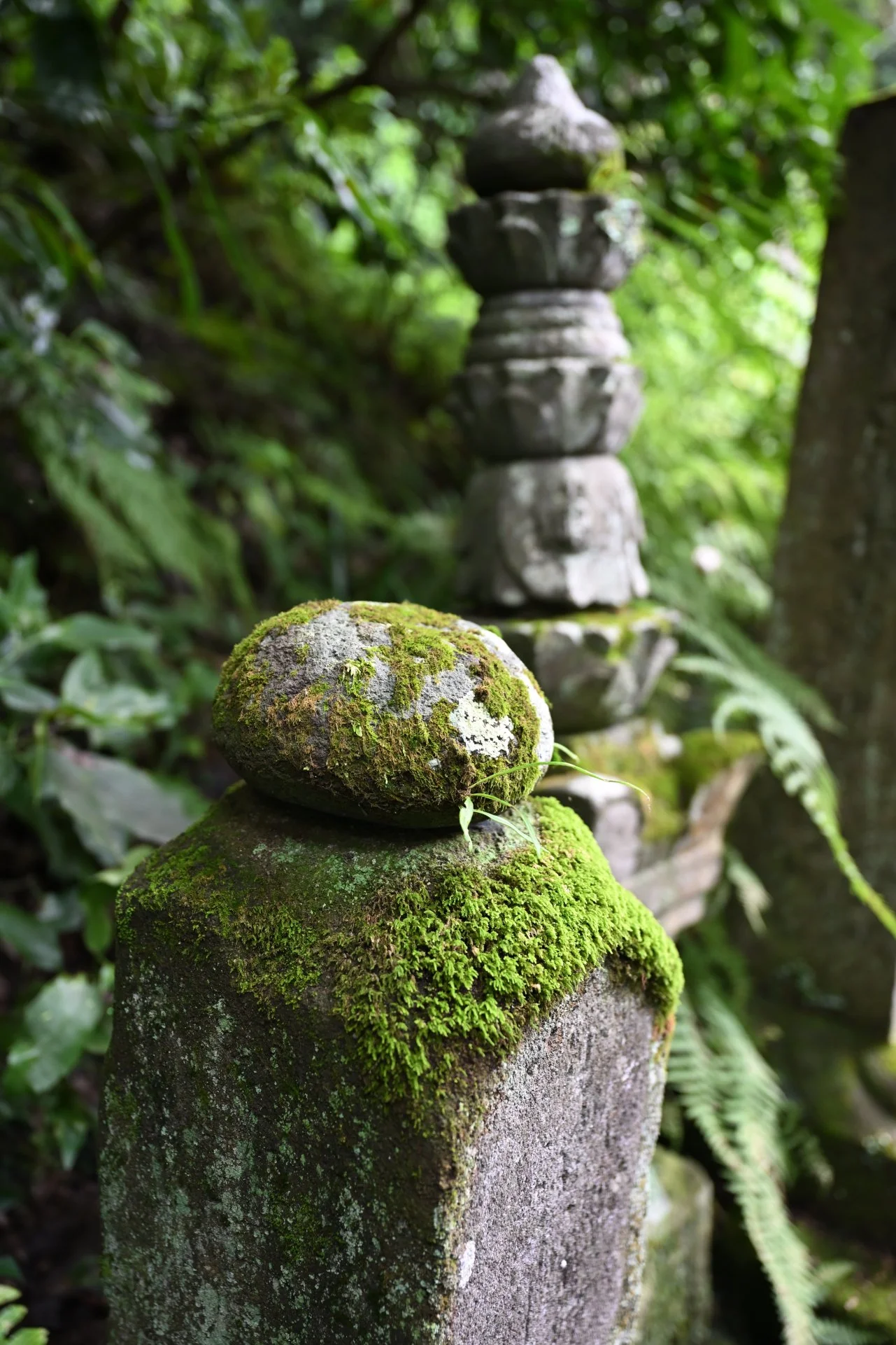 Myohonji Temple Kamakura