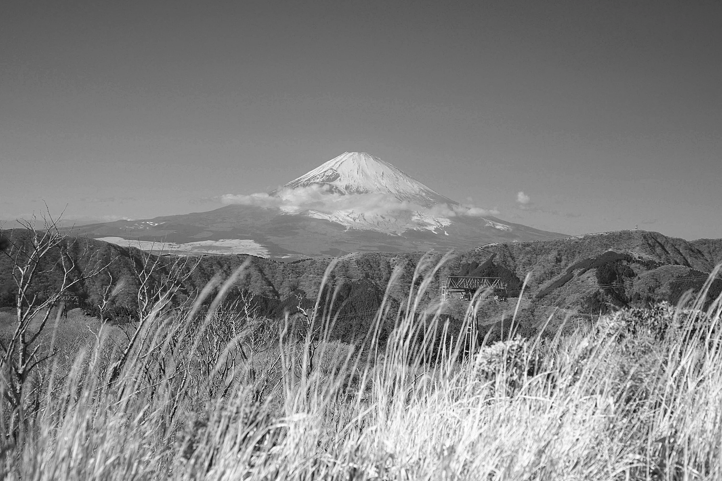 Recently Saved - 1 of 1.jpeg