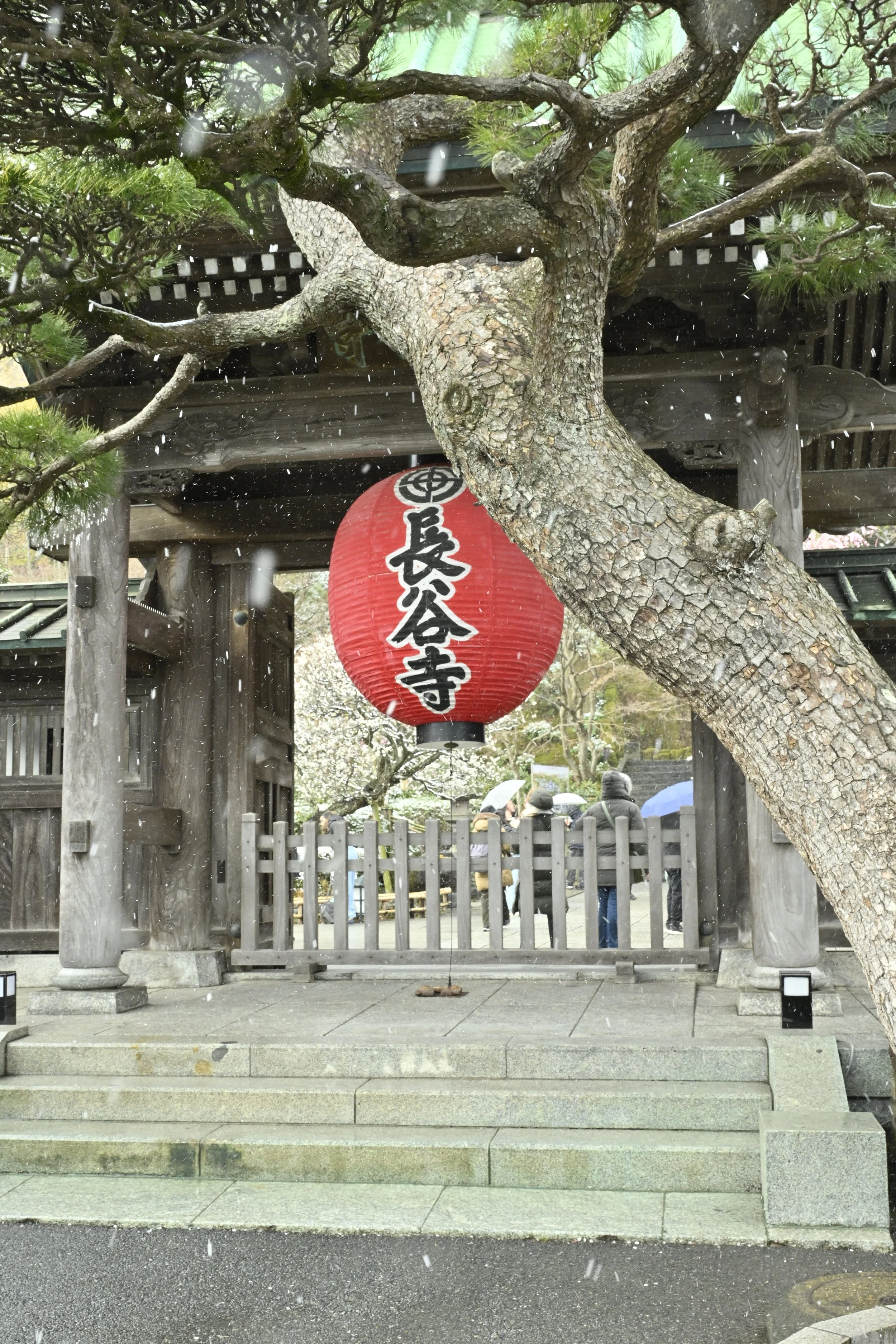 Iconic Entrance Gate to Hase-dera Temple: Kamakura, Kanagawa Japan
