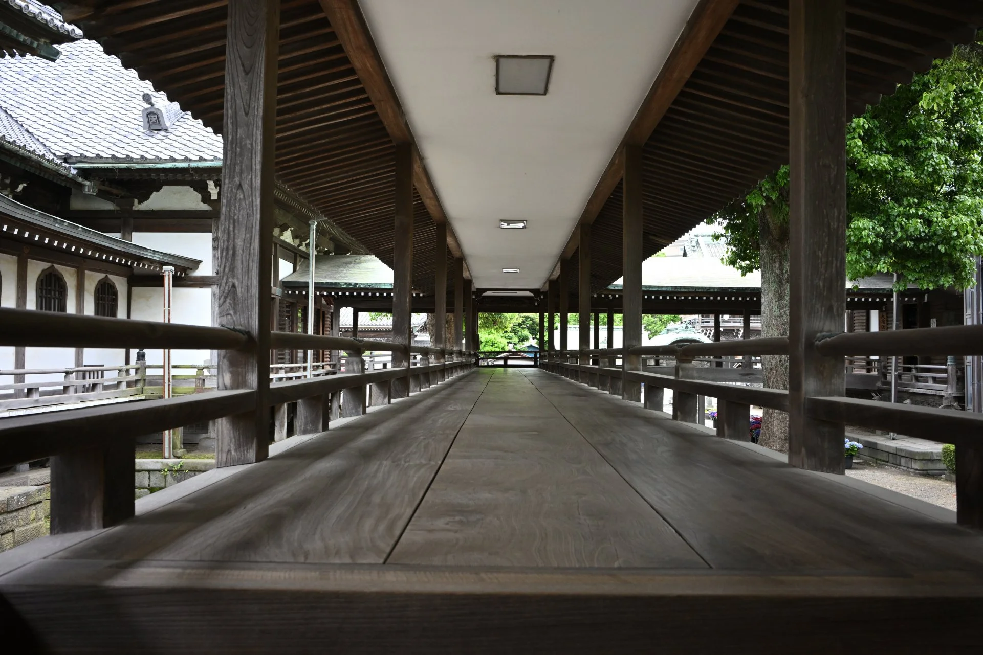 Wrap around Cedar Walkway to the Japanese Garden.