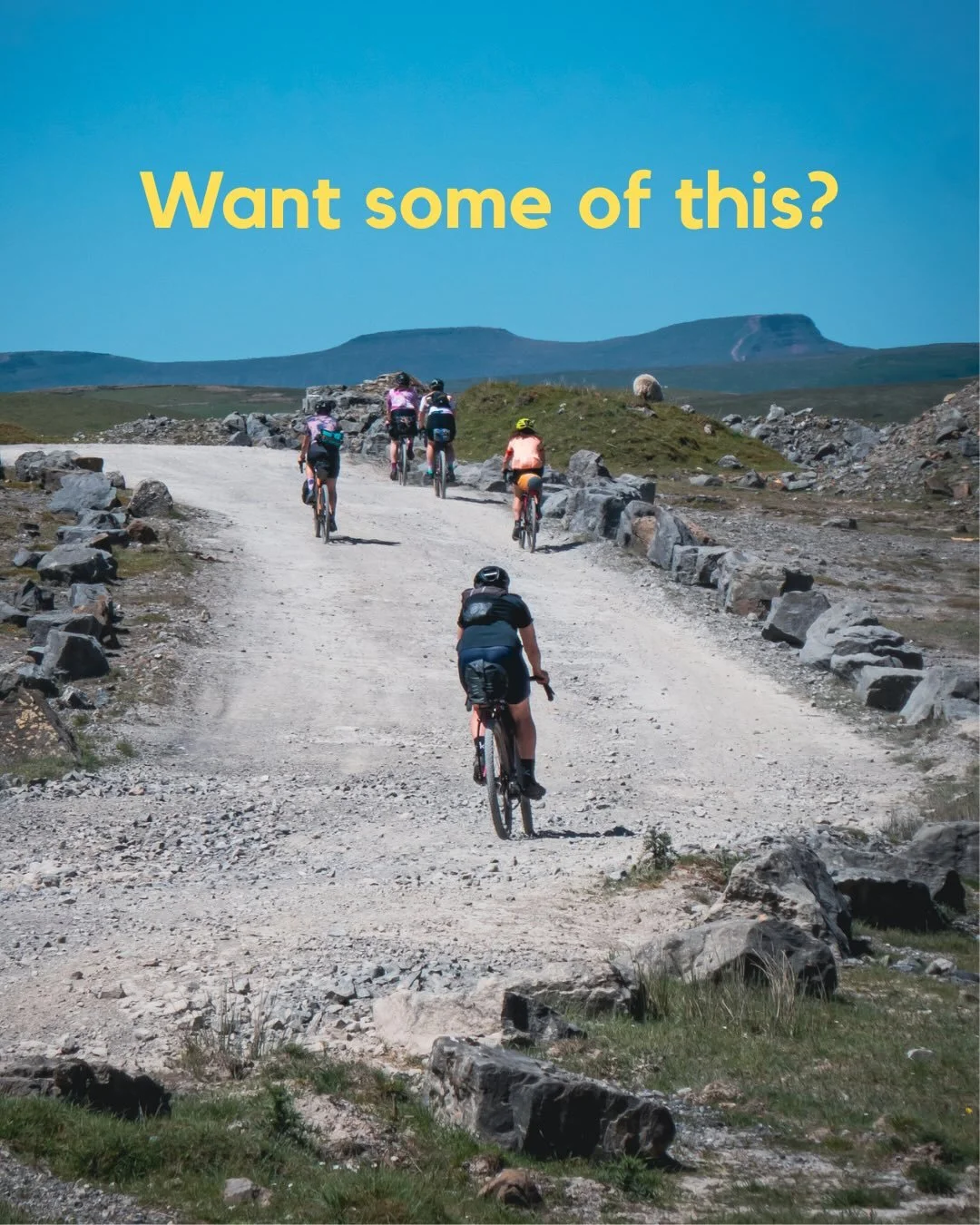 🗞️ Newsletter going out at 11am.

It&rsquo;s time to come out of hibernation. 

Not signed up, head to the link in our bio. 😉