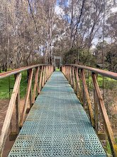 bridge.jpeg