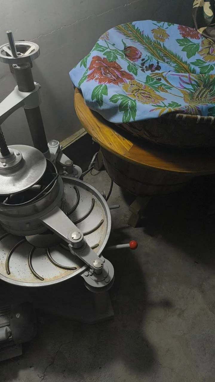 machines for rolling tea