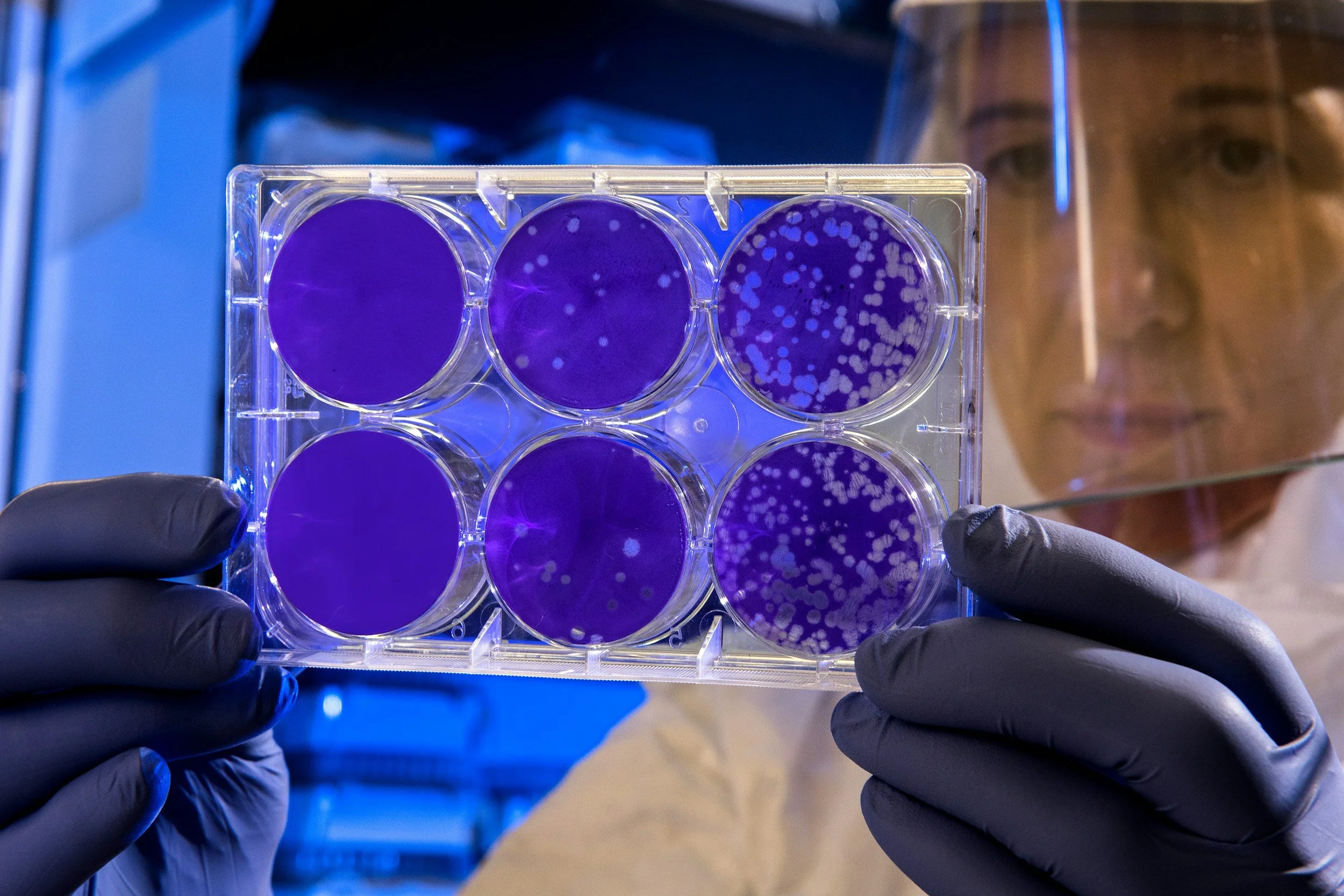 Regulatory Requirements for Biotechnological Products - Good Tissue Practice