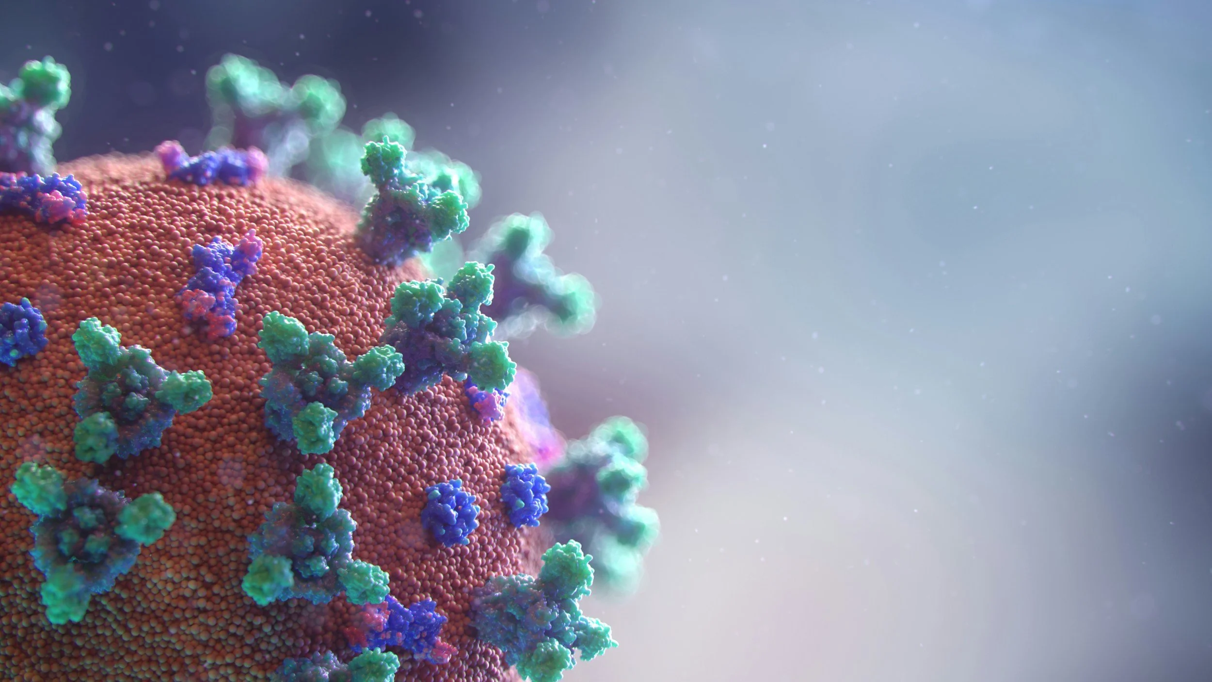 Lentiviral Vectors for T Cell Therapies