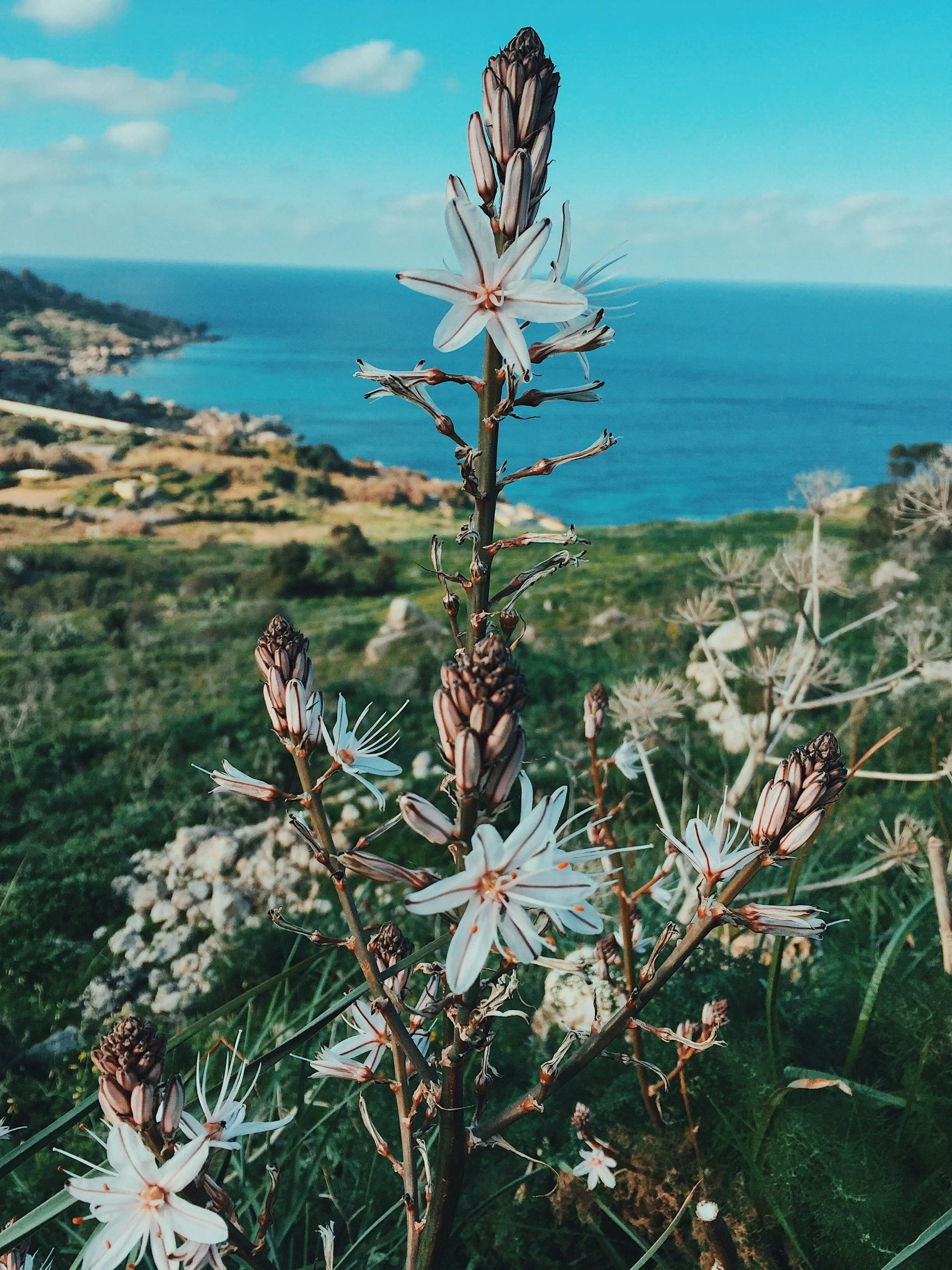 The Samudra Experience - 7 Day Slow Living + Life Reset Retreat