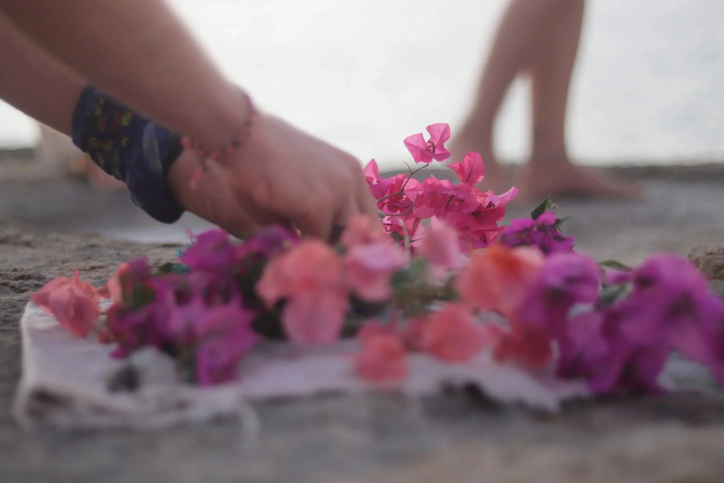 The Samudra Experience - 7 Day Slow Living + Life Reset Retreat