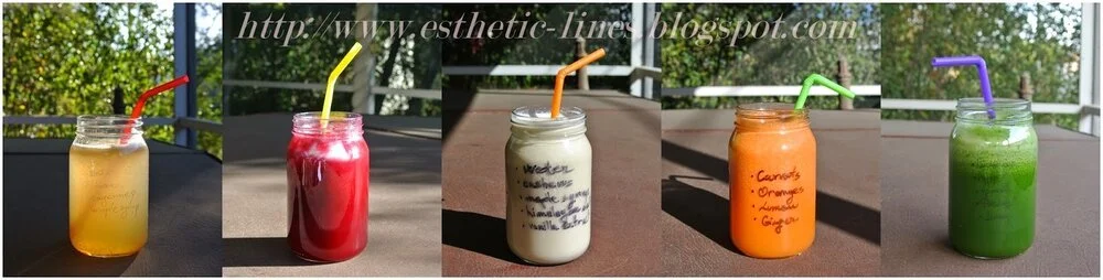 3 Day- Cleanse & Detox At Home Guide