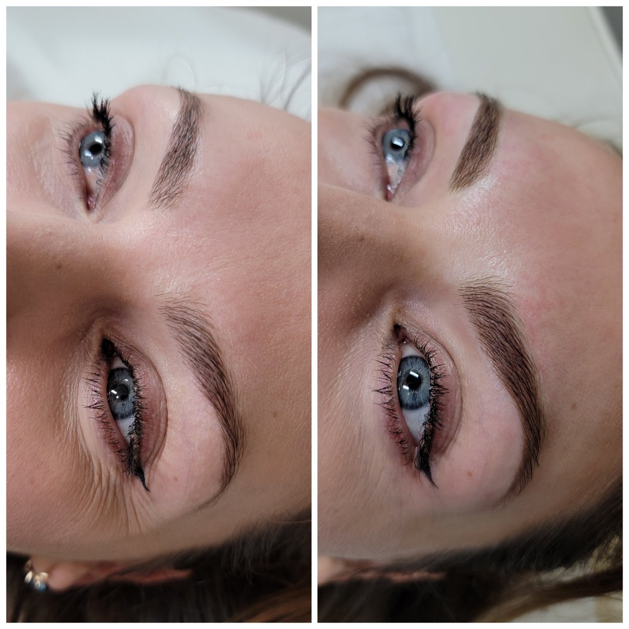 Brown powder ombre eyebrows naples florida