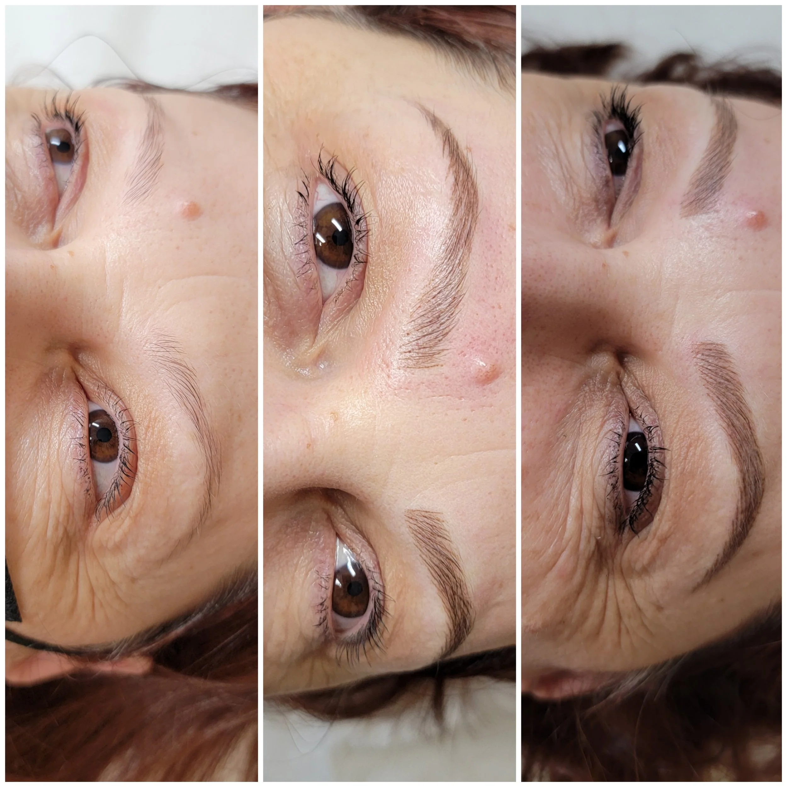 Medium Brown Hairstrokes Microblading Naples Florida Esthetic Lines