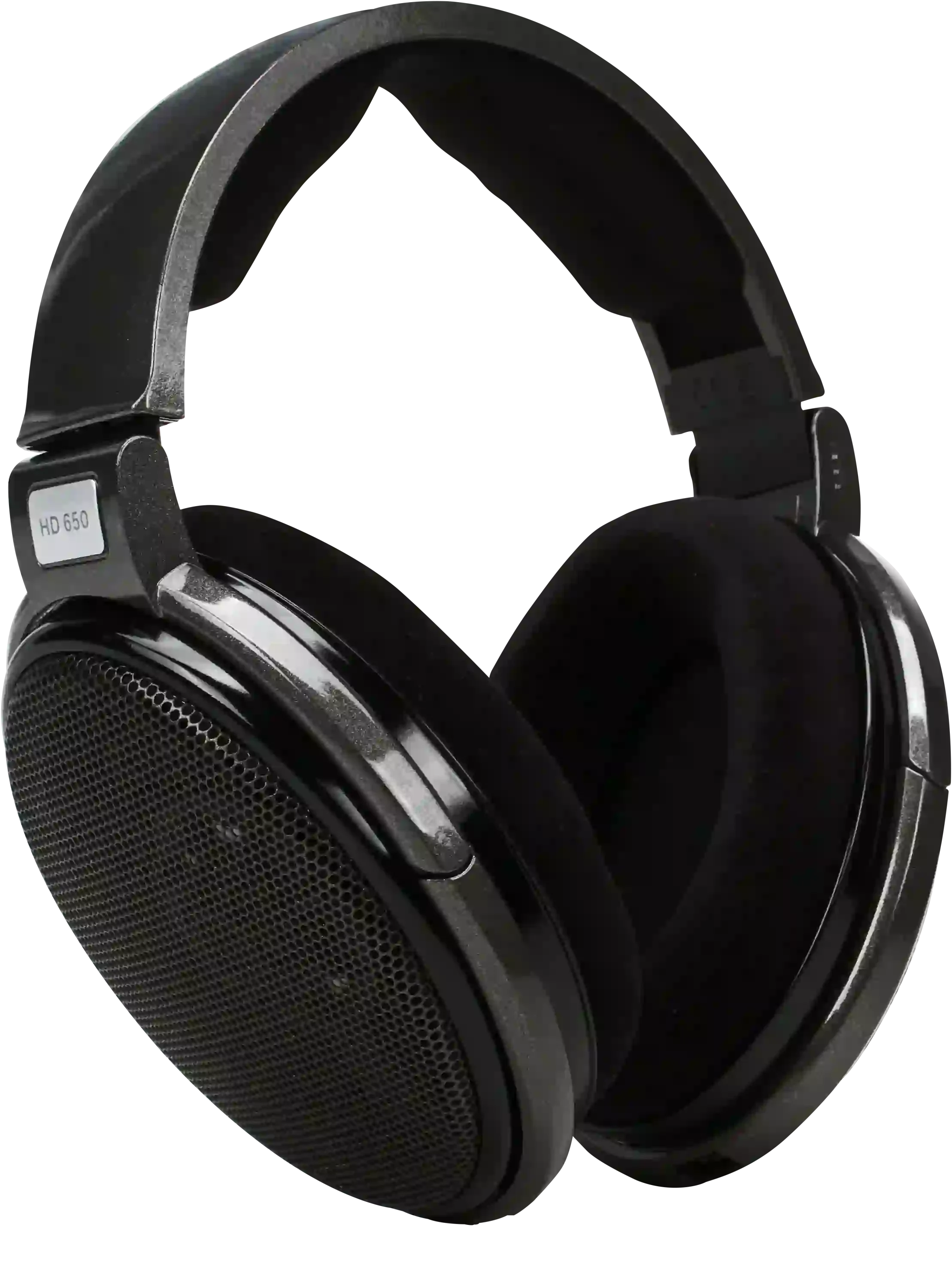 Sennheiser HD 650 Open-back Audiophile and Reference Headphones