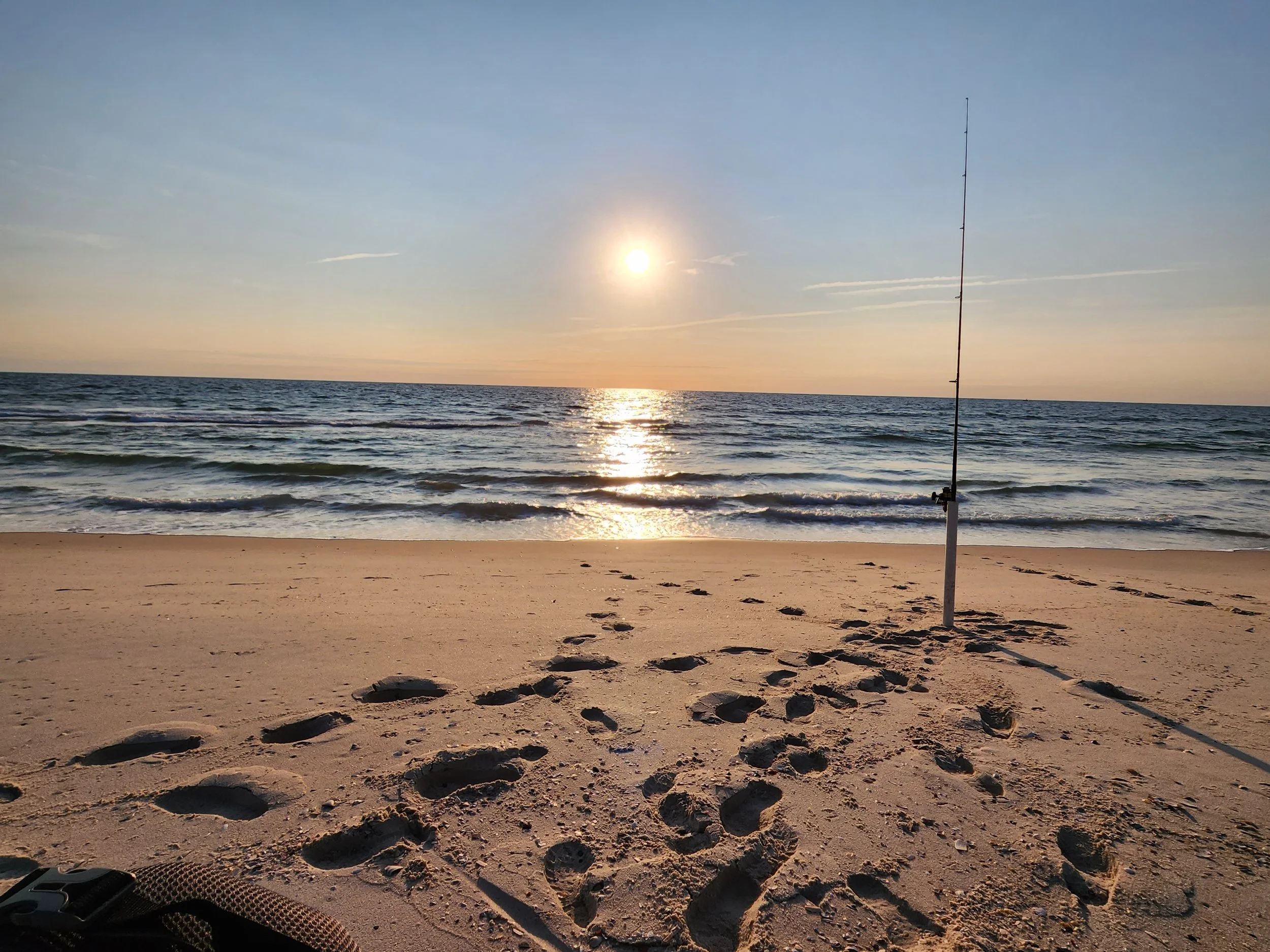 The True Oracle of Pompeii