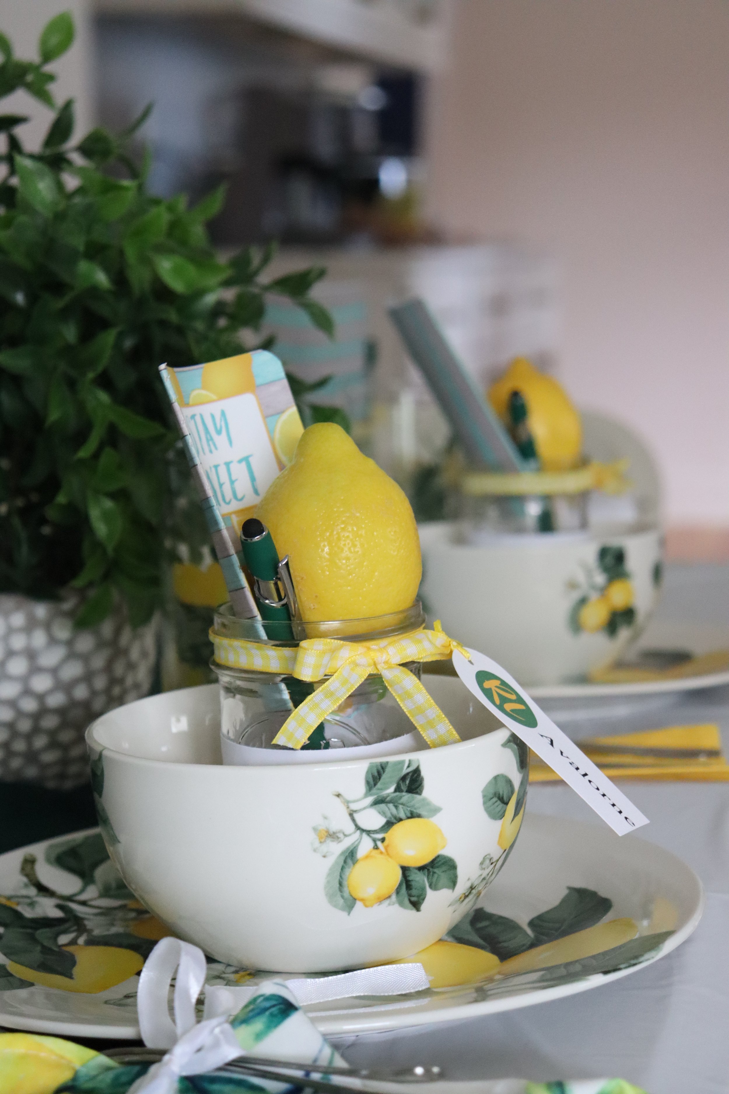 Mocktail Mom Mixer