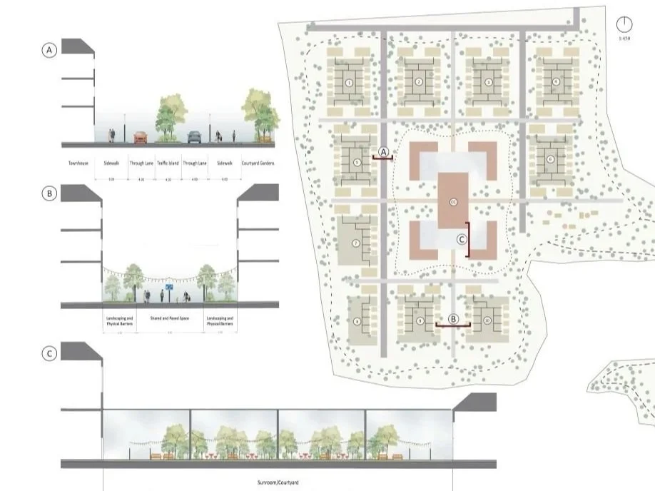Shifting the Paradigm: Designing a Culturally Responsive, Community-Integrated Dementia Village