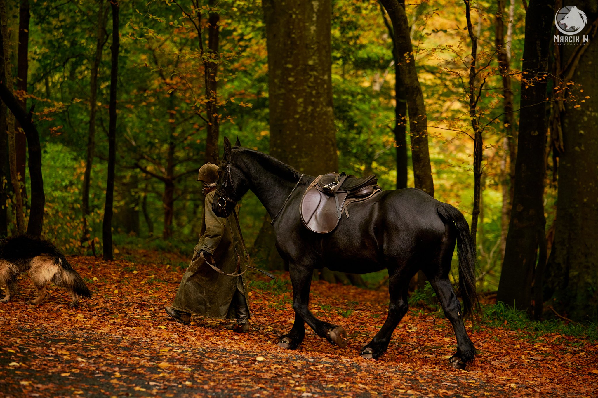 Tollymore_Horse_Dog_Marcin_W_Photography 2.jpg