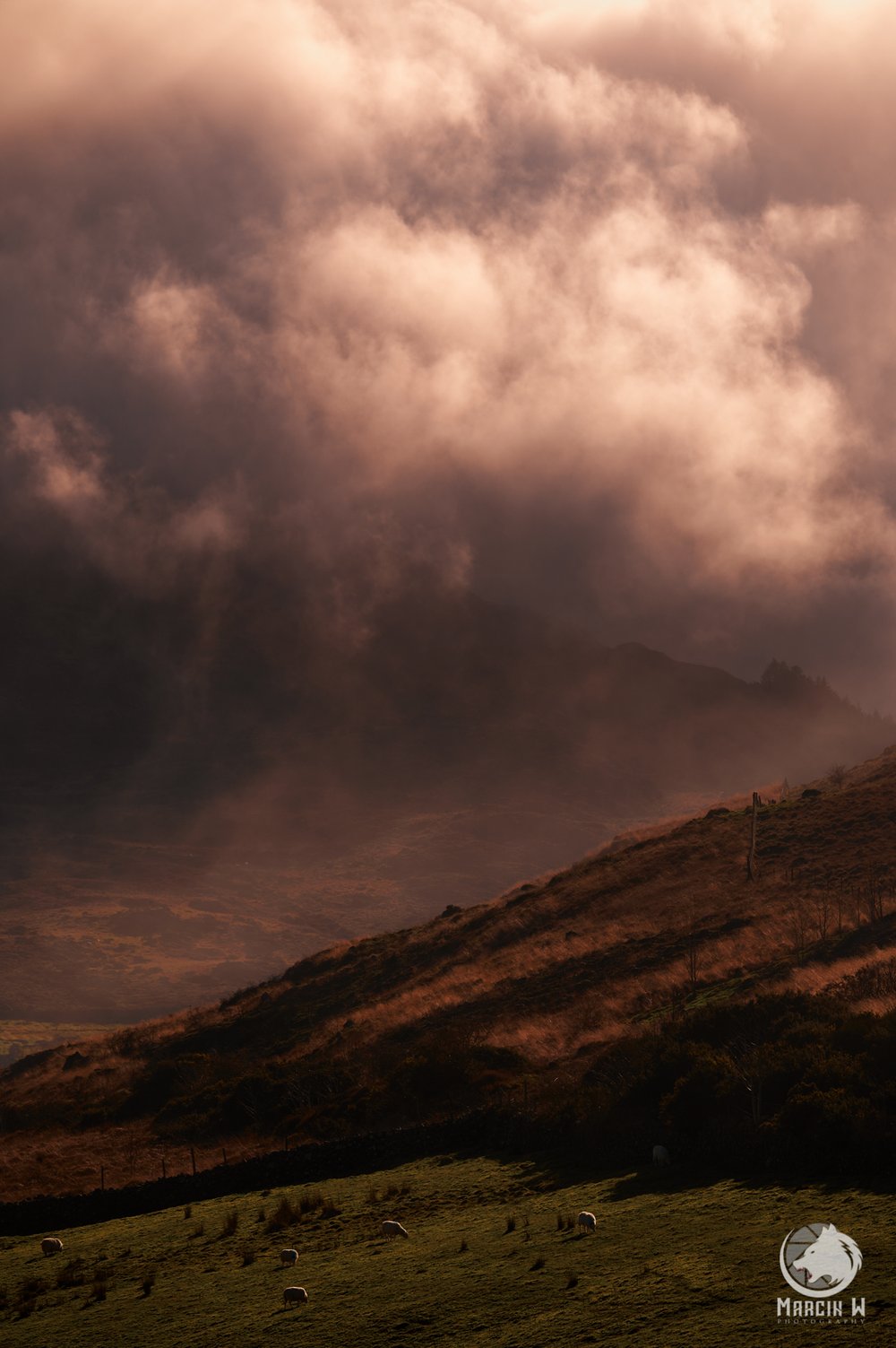 Carlingford_Cooley_Mountains_Light_ireland__Marcin_W_Photography_03.03.24 1.jpg